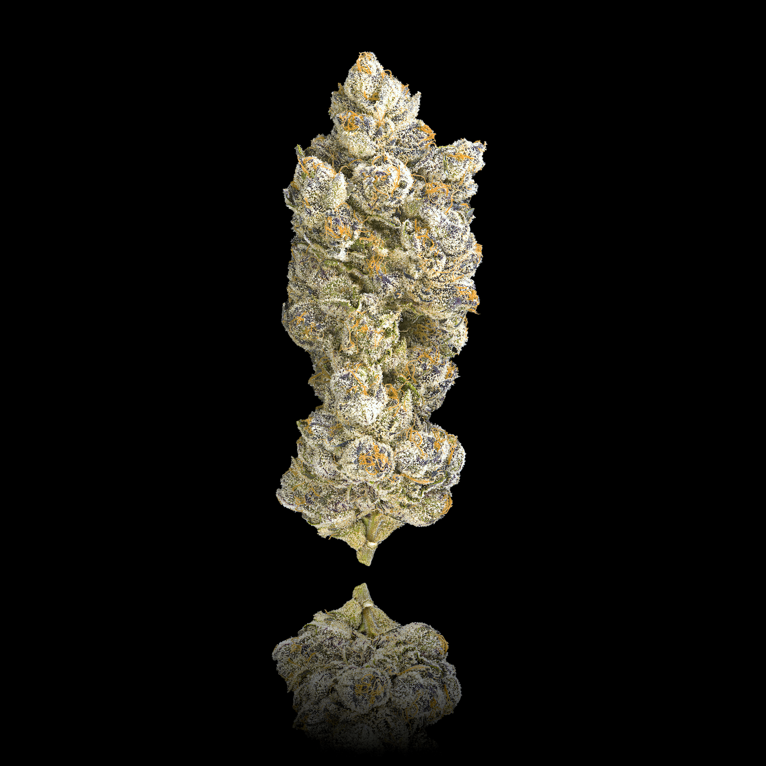 Fantasma Pre-Roll 5-Pack [2.5g]