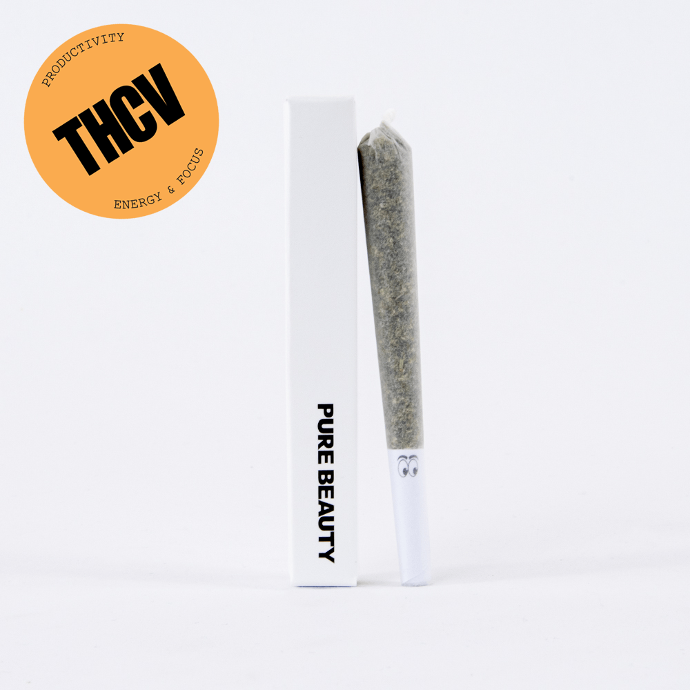 GSD (2:1) THCV
