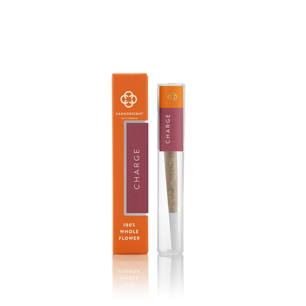 CHARGE 513 — Premium Jack
