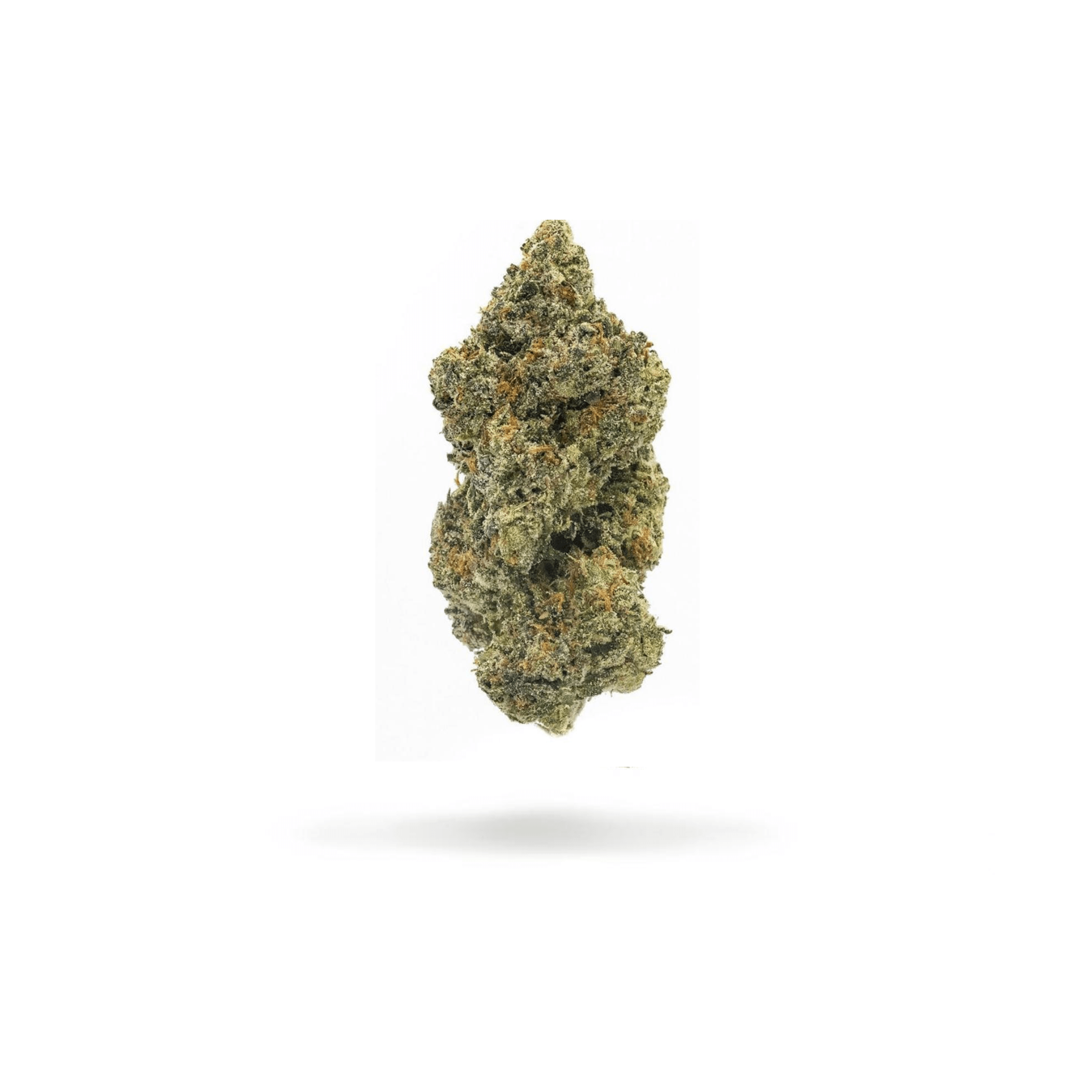 Vanilla Biscottii - Pr
