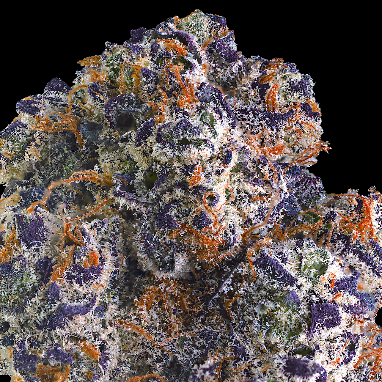 Clementine Sour [3.5g]