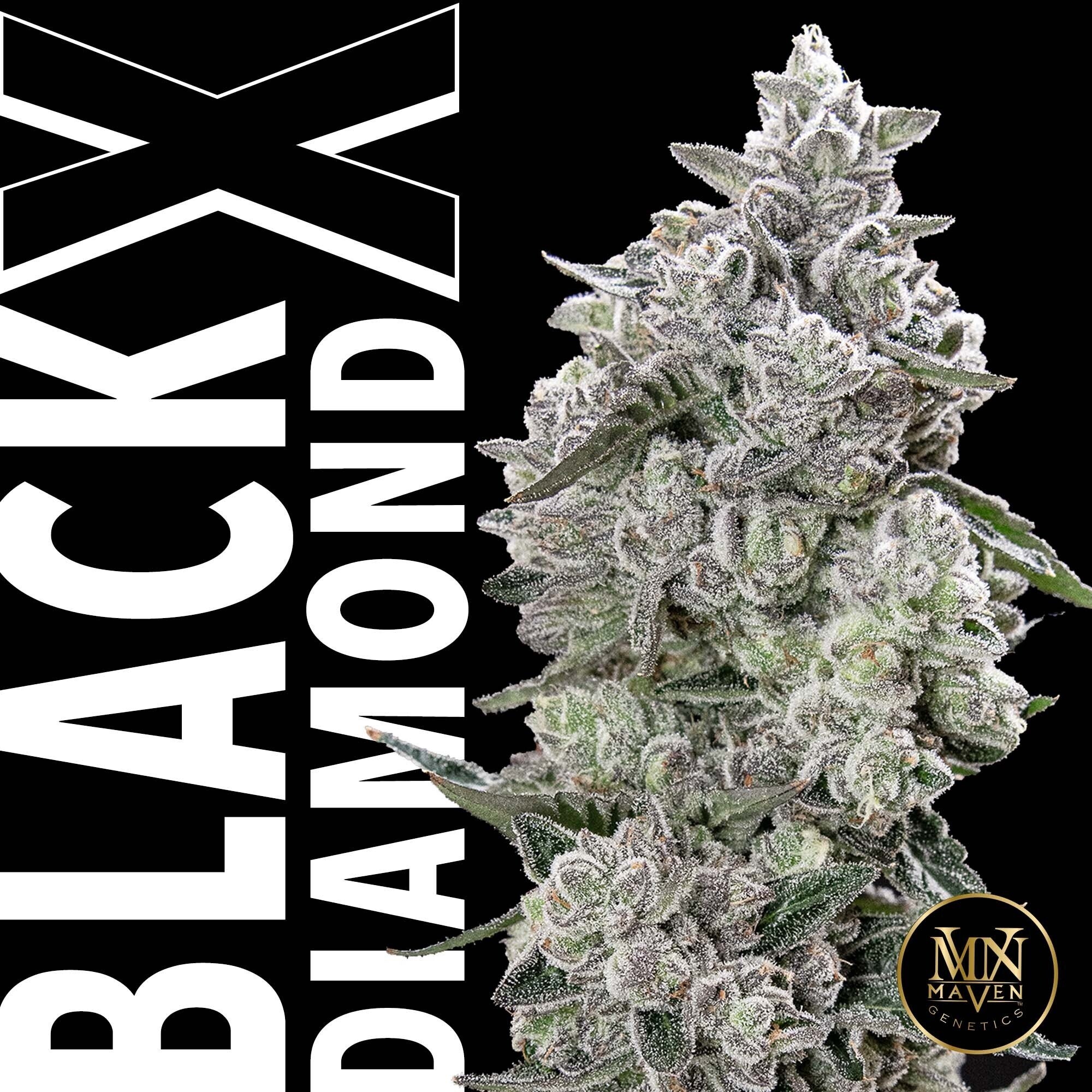 Black Diamond X [3.5g]