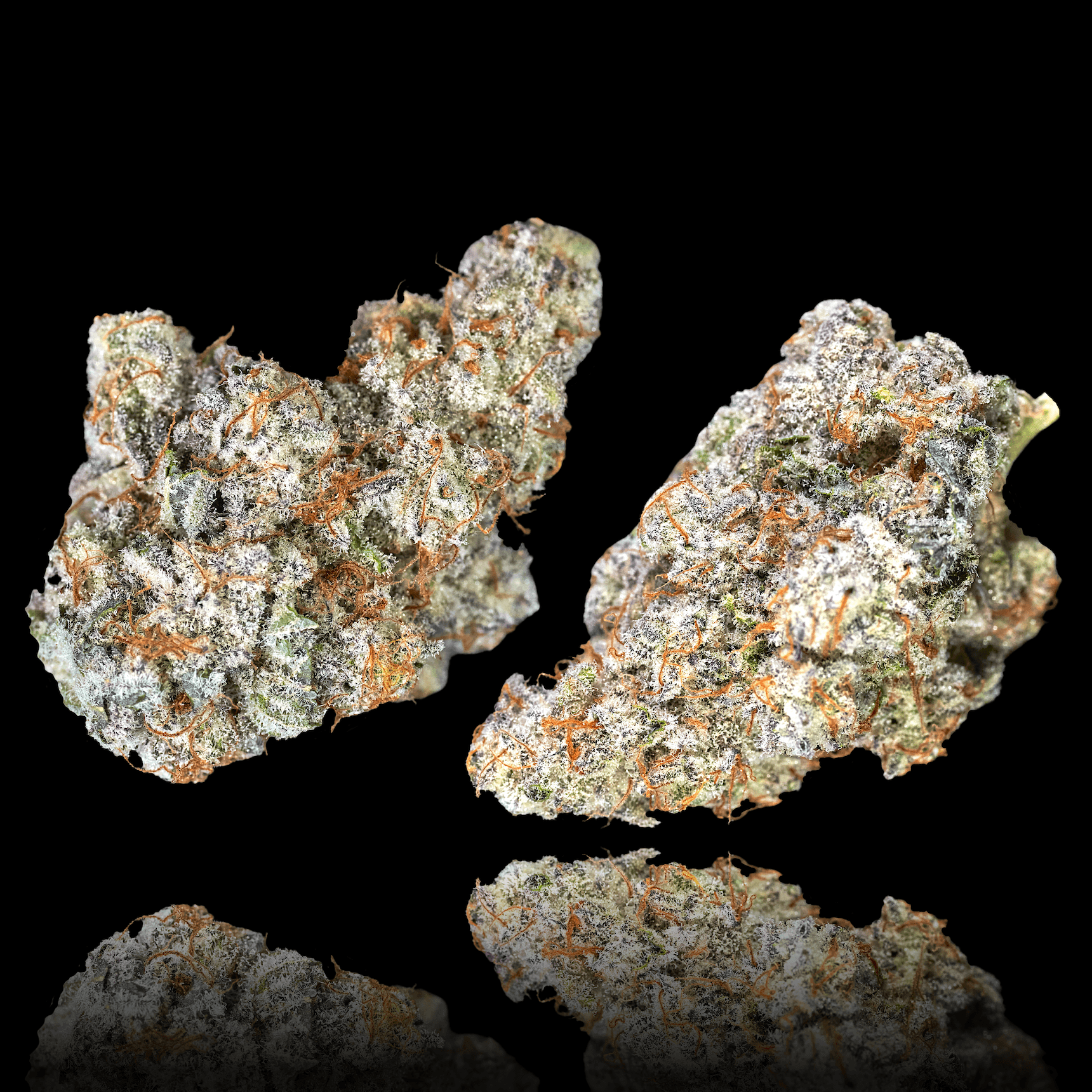 Blueberry Mac Pre-Roll 5-Pack [2.5g]