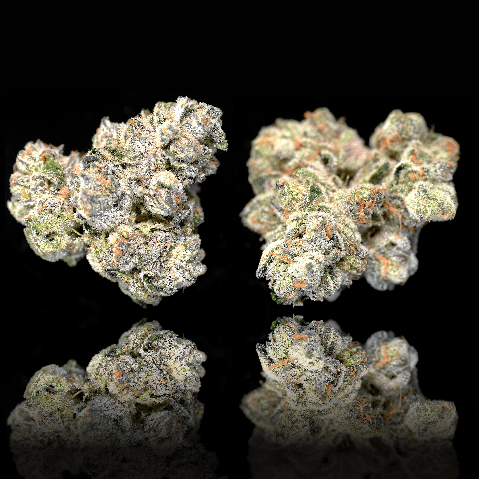 Black Diamond X Pre-Roll 5-Pack [2.5g]