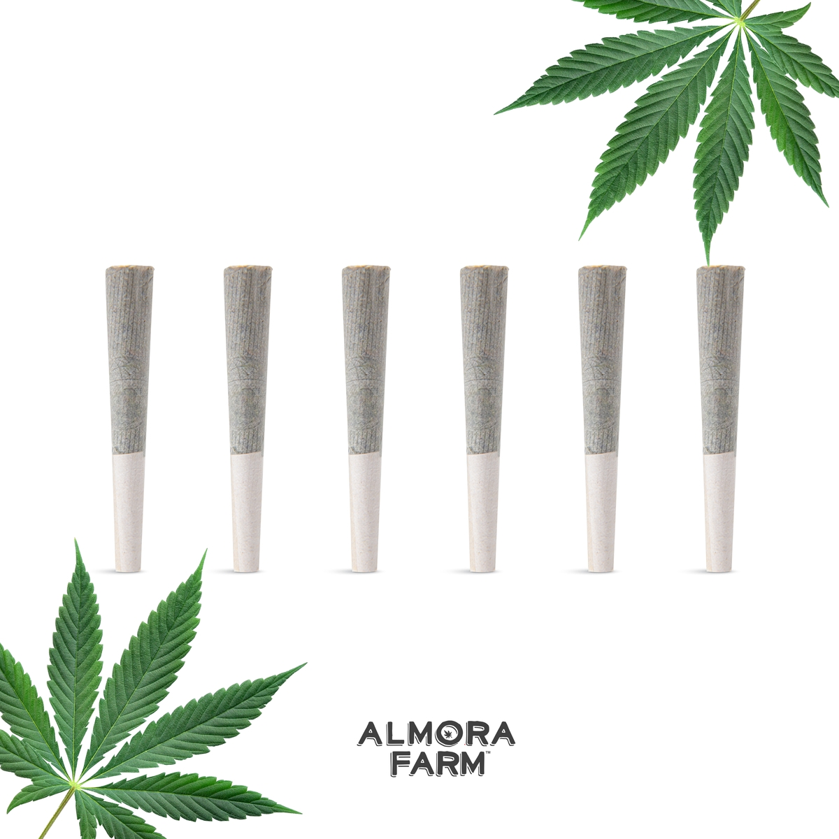 Watermelon Glue [.5g]