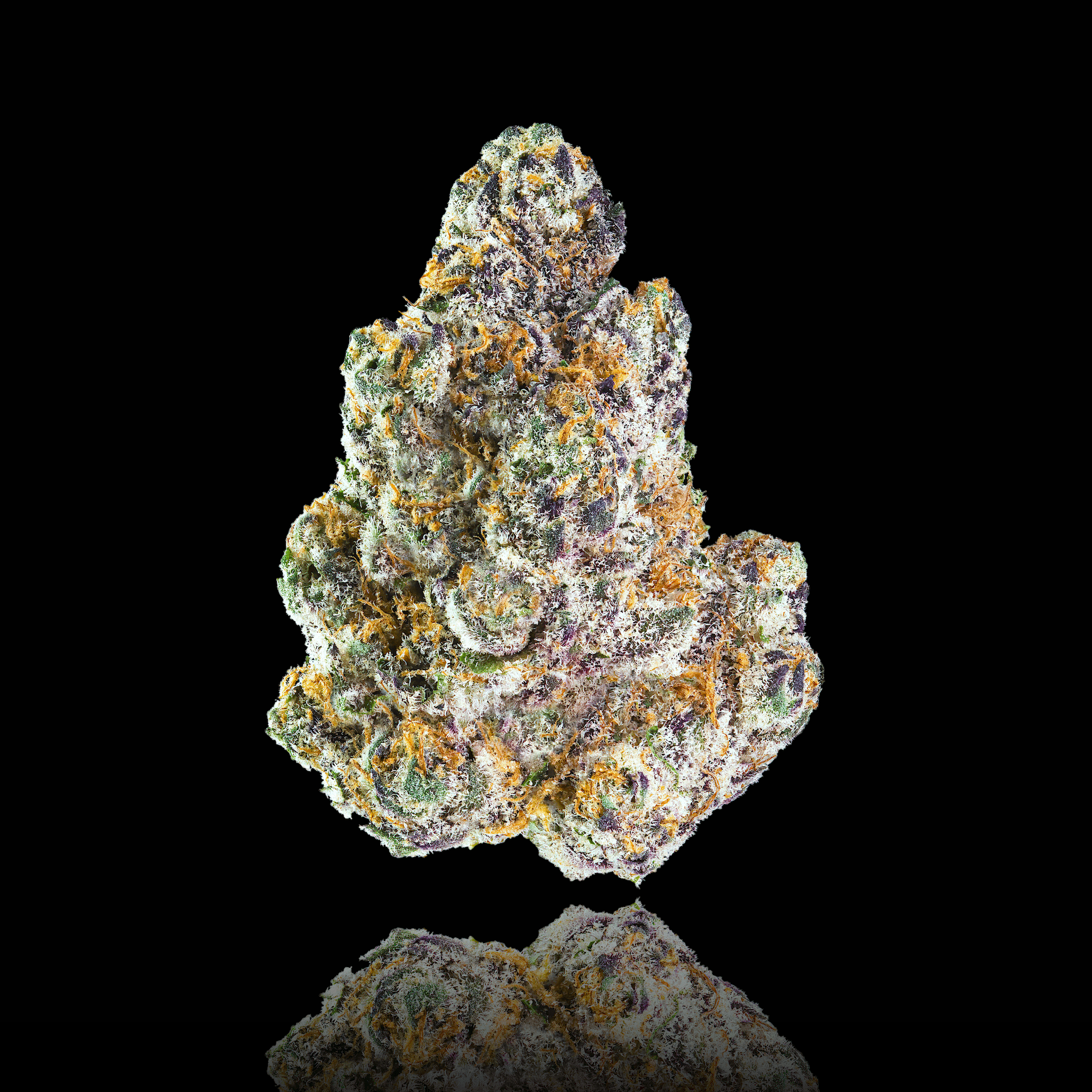Blue Lotus Pre-Roll [1g]