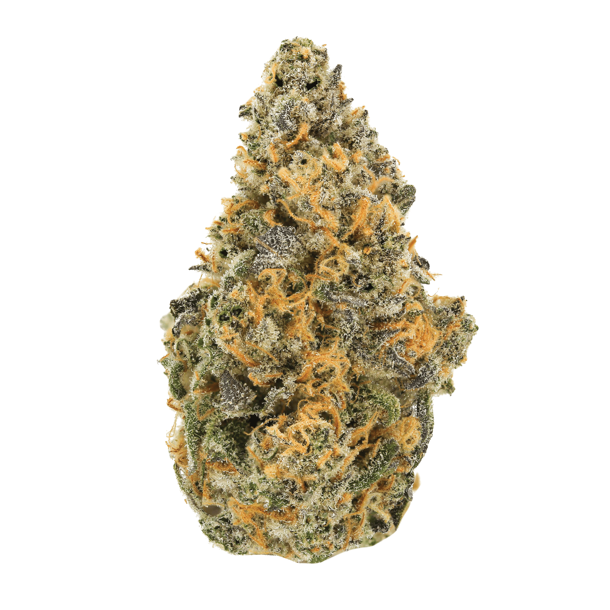 Berry Jane Smalls