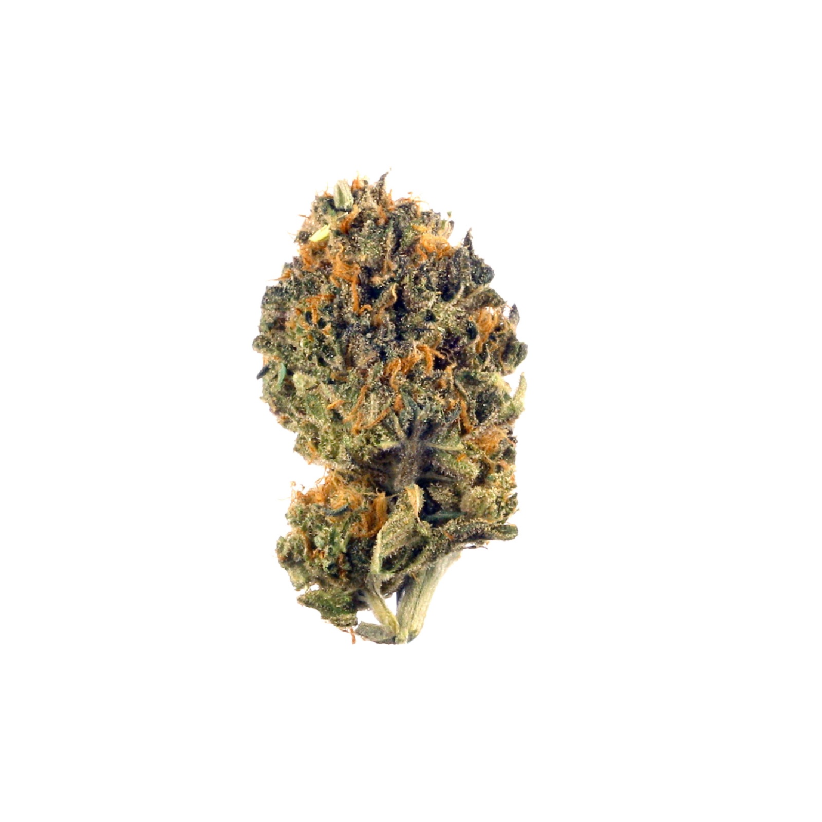 Blackberry Diesel