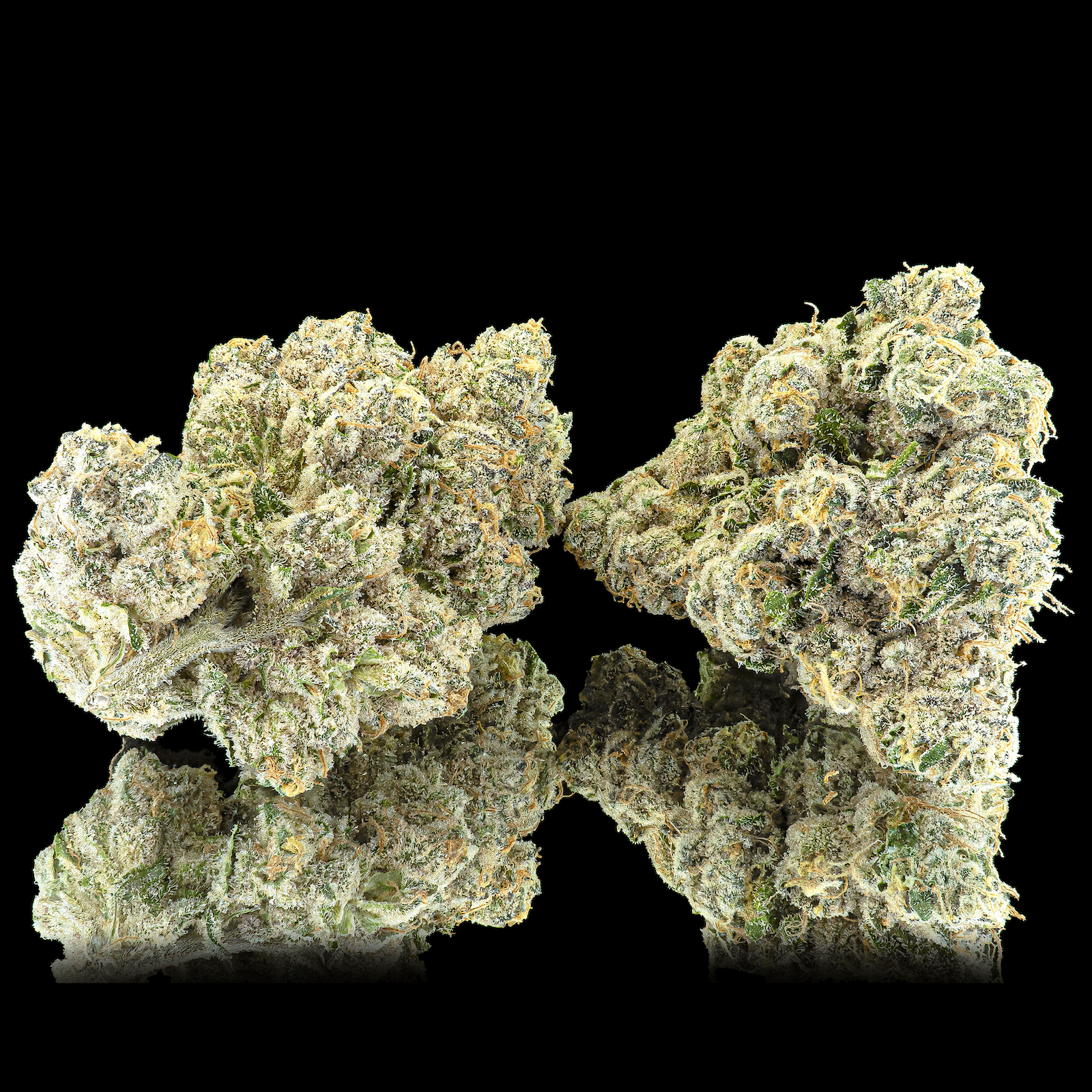 Ajo Blanco Pre-Roll 5-Pack [2.5g]