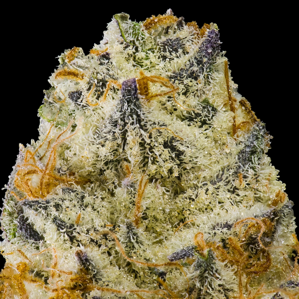 Goji Berry Runtz