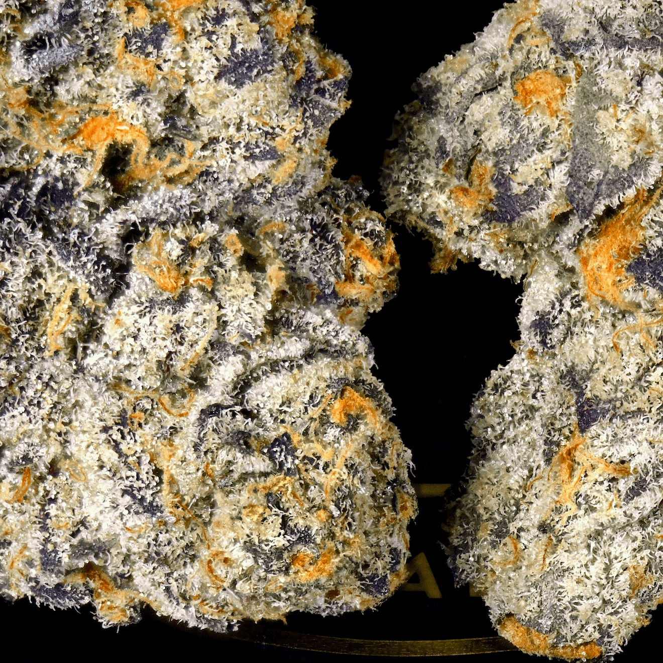 Blue Lotus [3.5g]