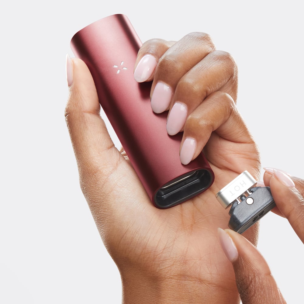 Pax 3 Complete Kit - Burgundy