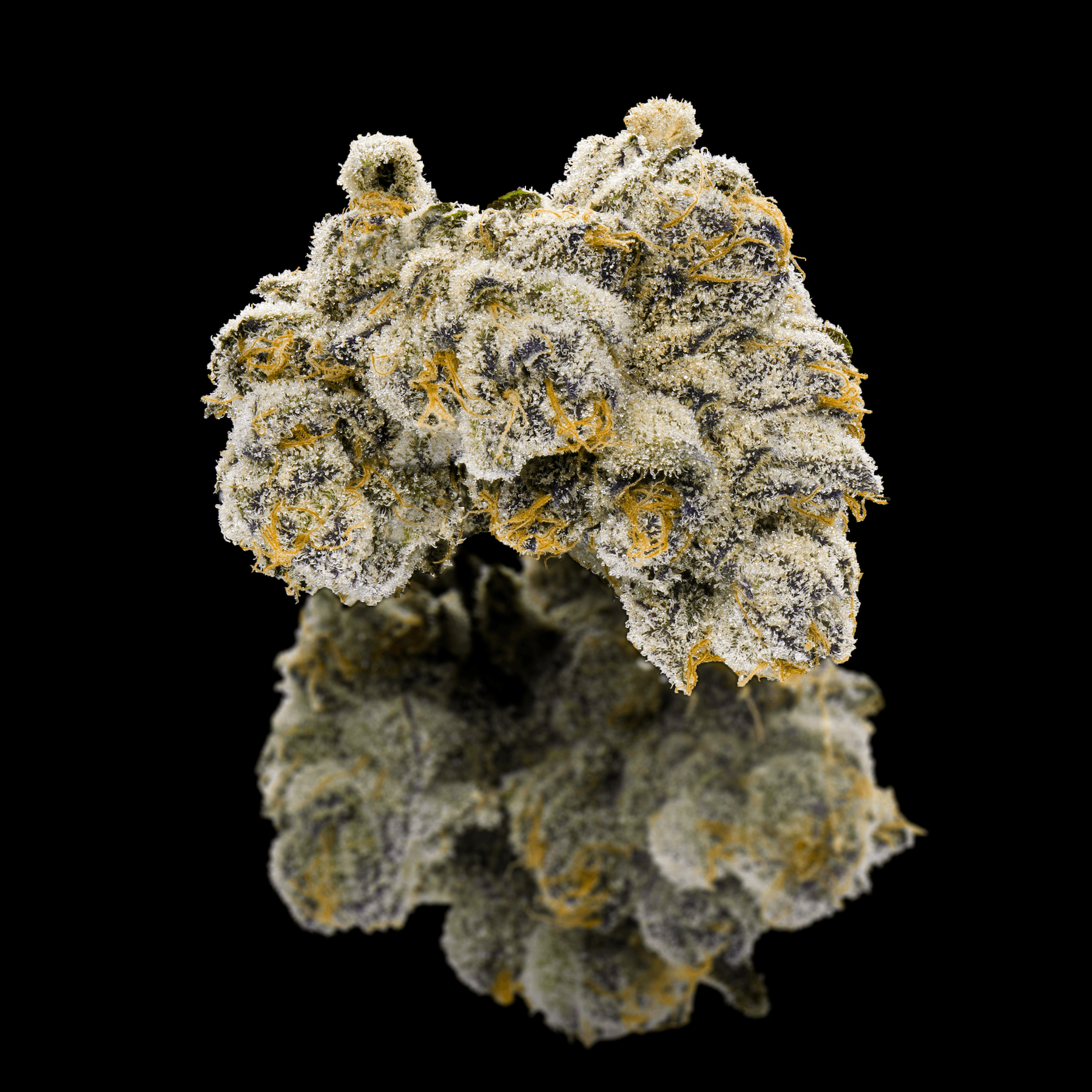 Fantasma Pre-Roll 5-Pack [2.5g]
