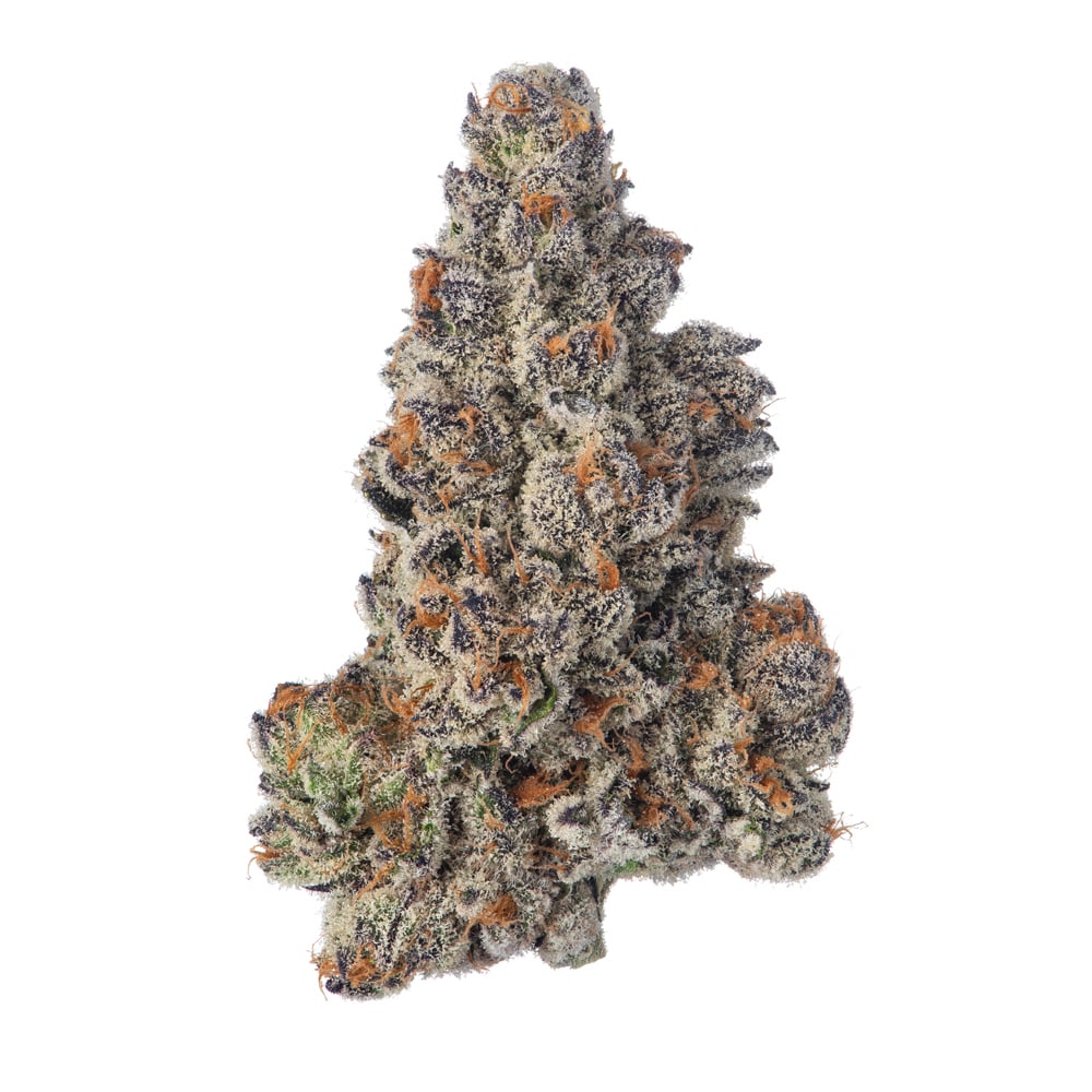 Purple Milk