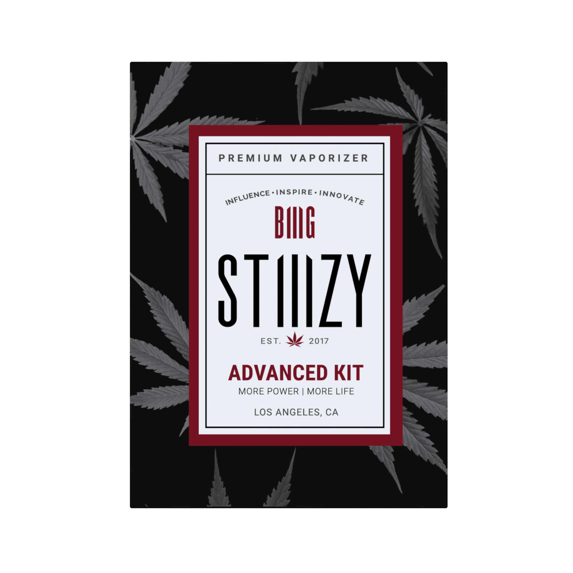 BIIIG STARTER KIT