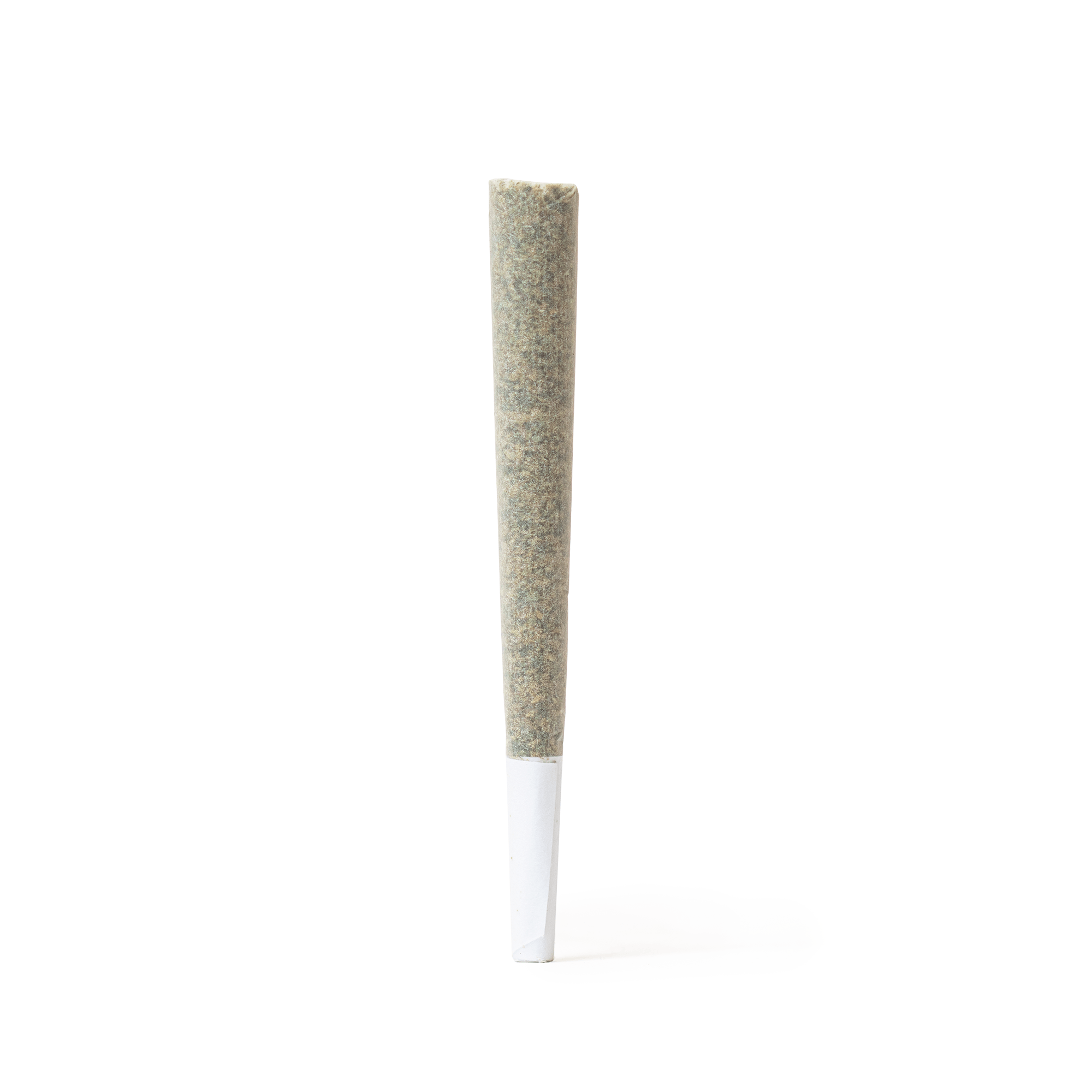 Super Session [1g]