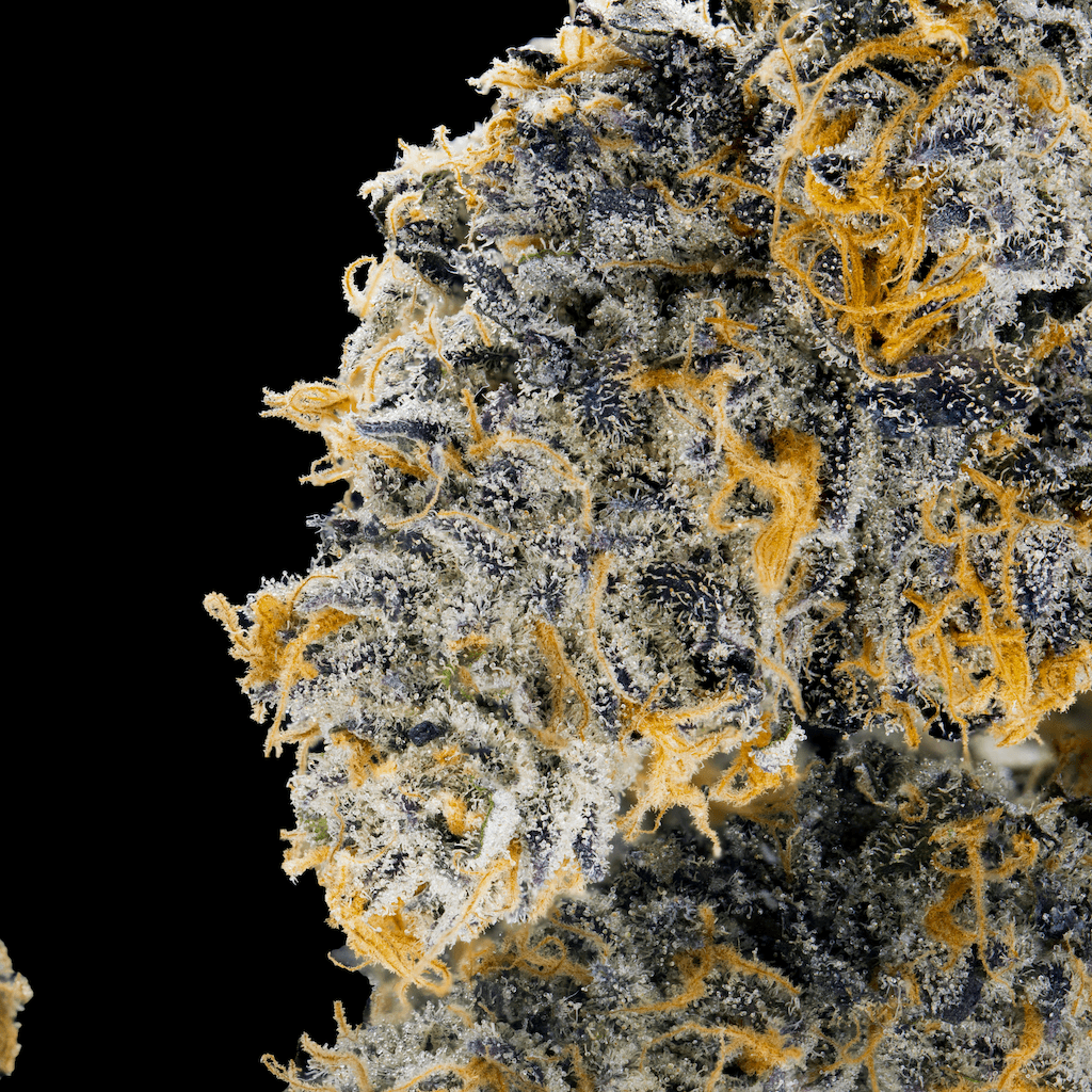 Blue Agapē [3.5g]