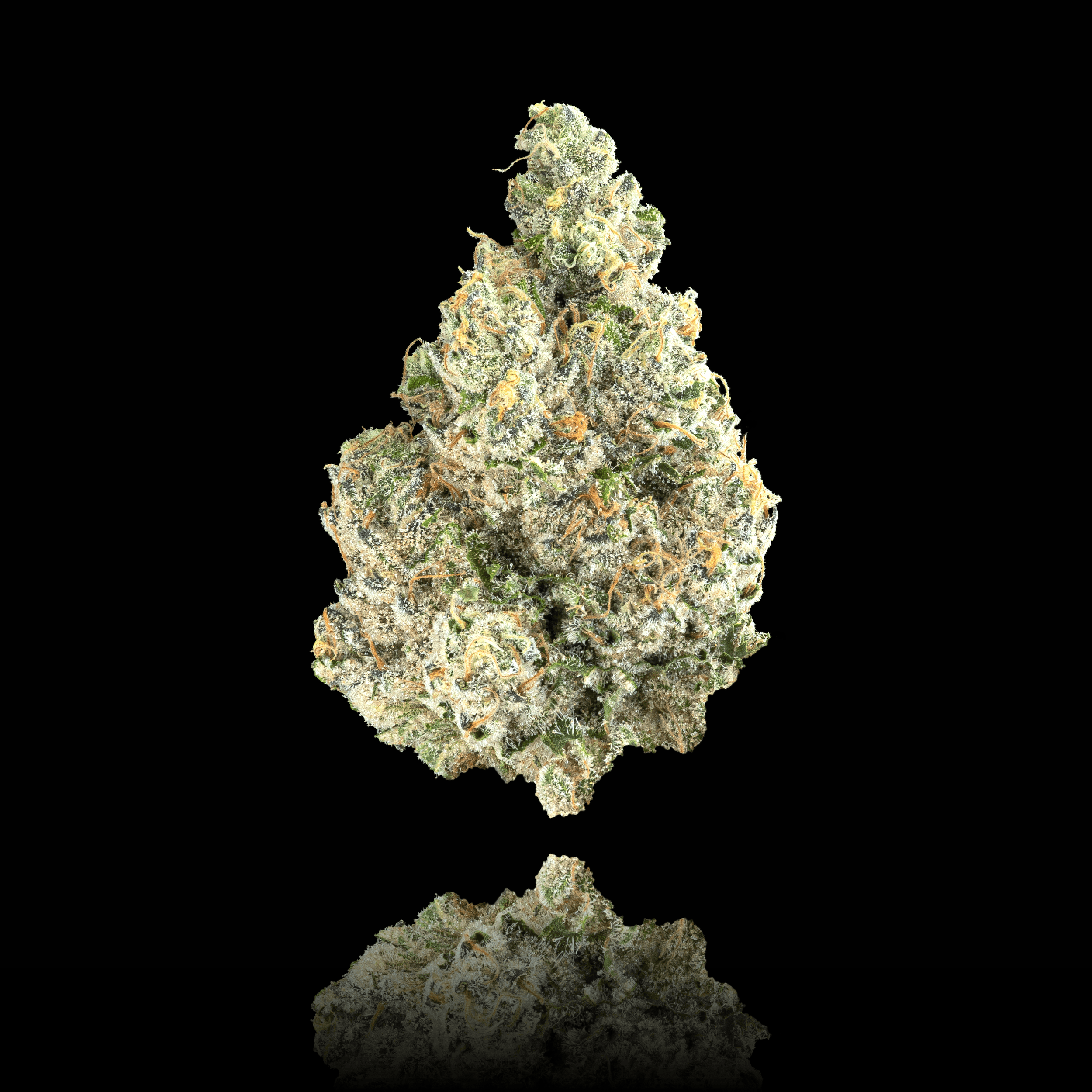 Ajo Blanco Pre-Roll 5-Pack [2.5g]