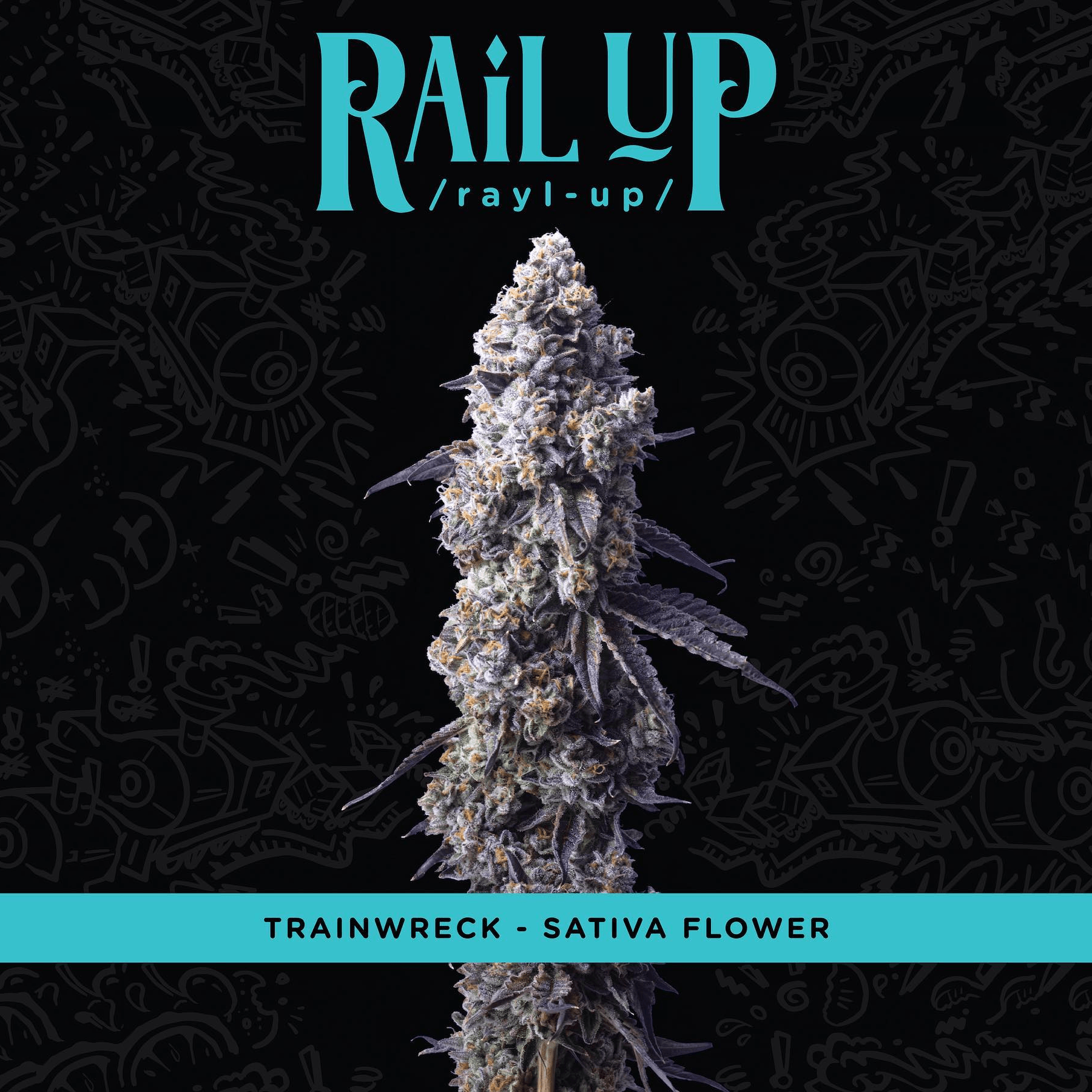 Rail Up