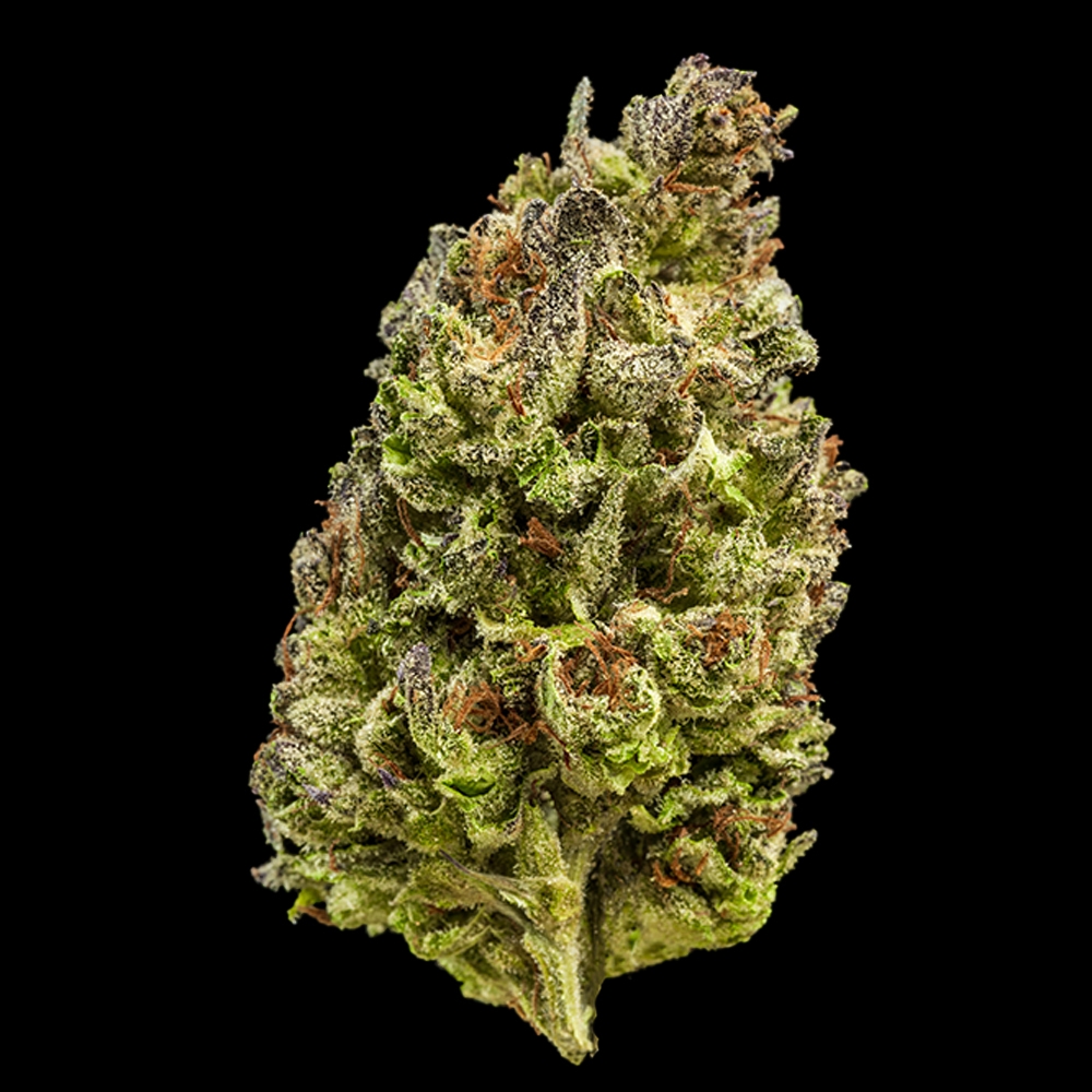 White Truffle