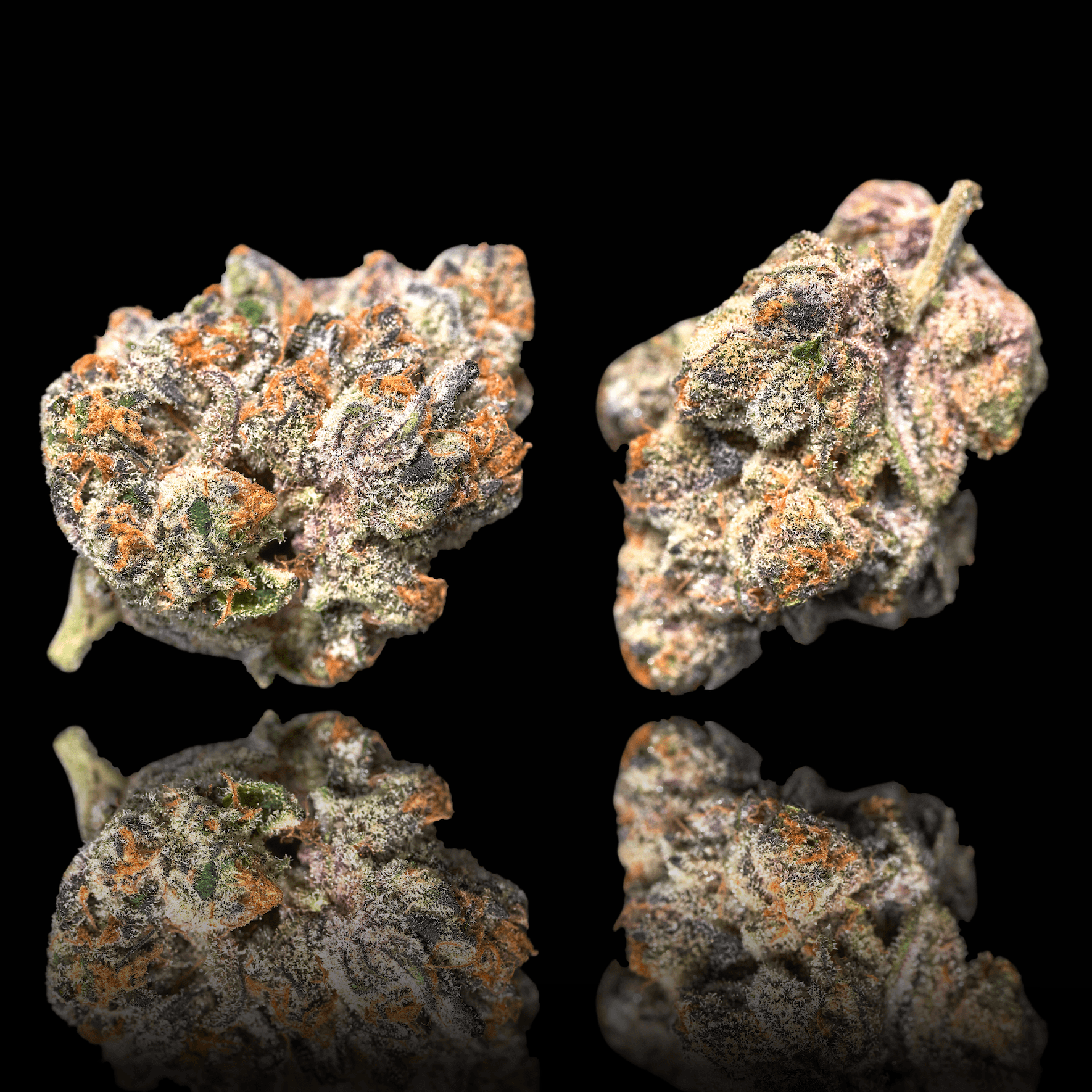 Blue Lotus Pre-Roll 5-Pack [2.5g]