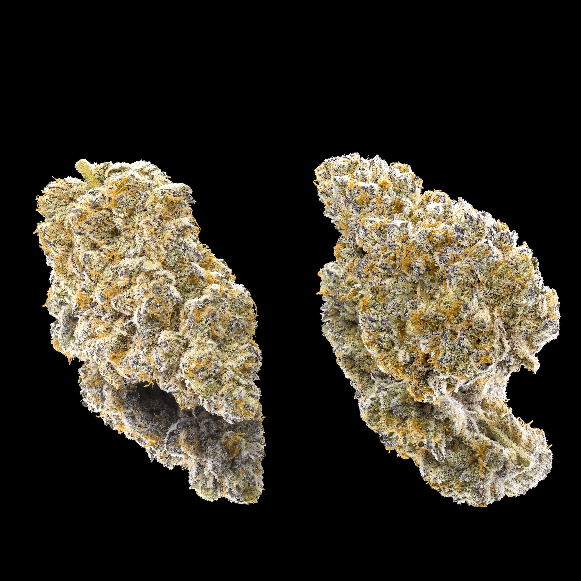 Kiwi Sorbet Pre-Roll 5-Pack [2.5g]