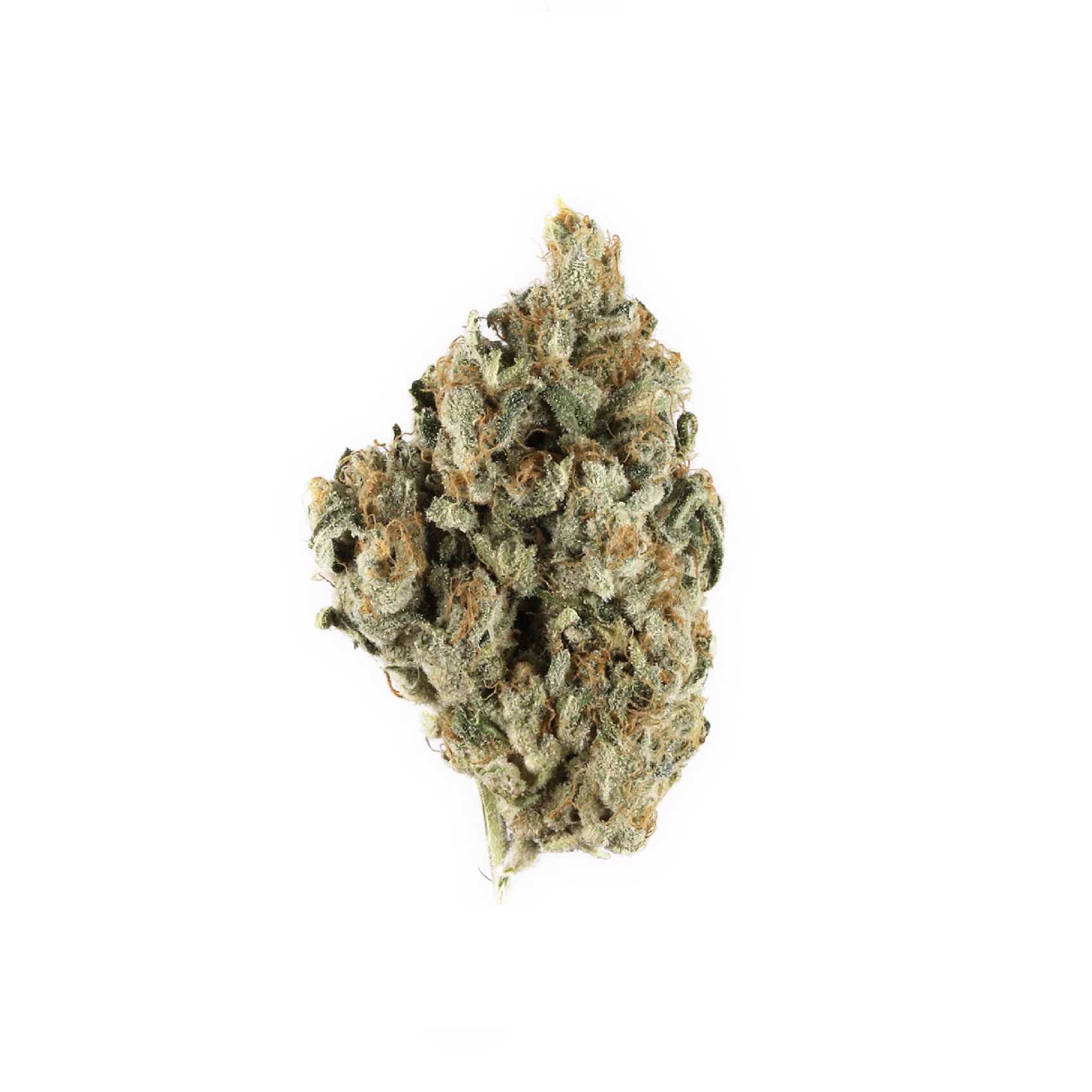 Blackberry Kush