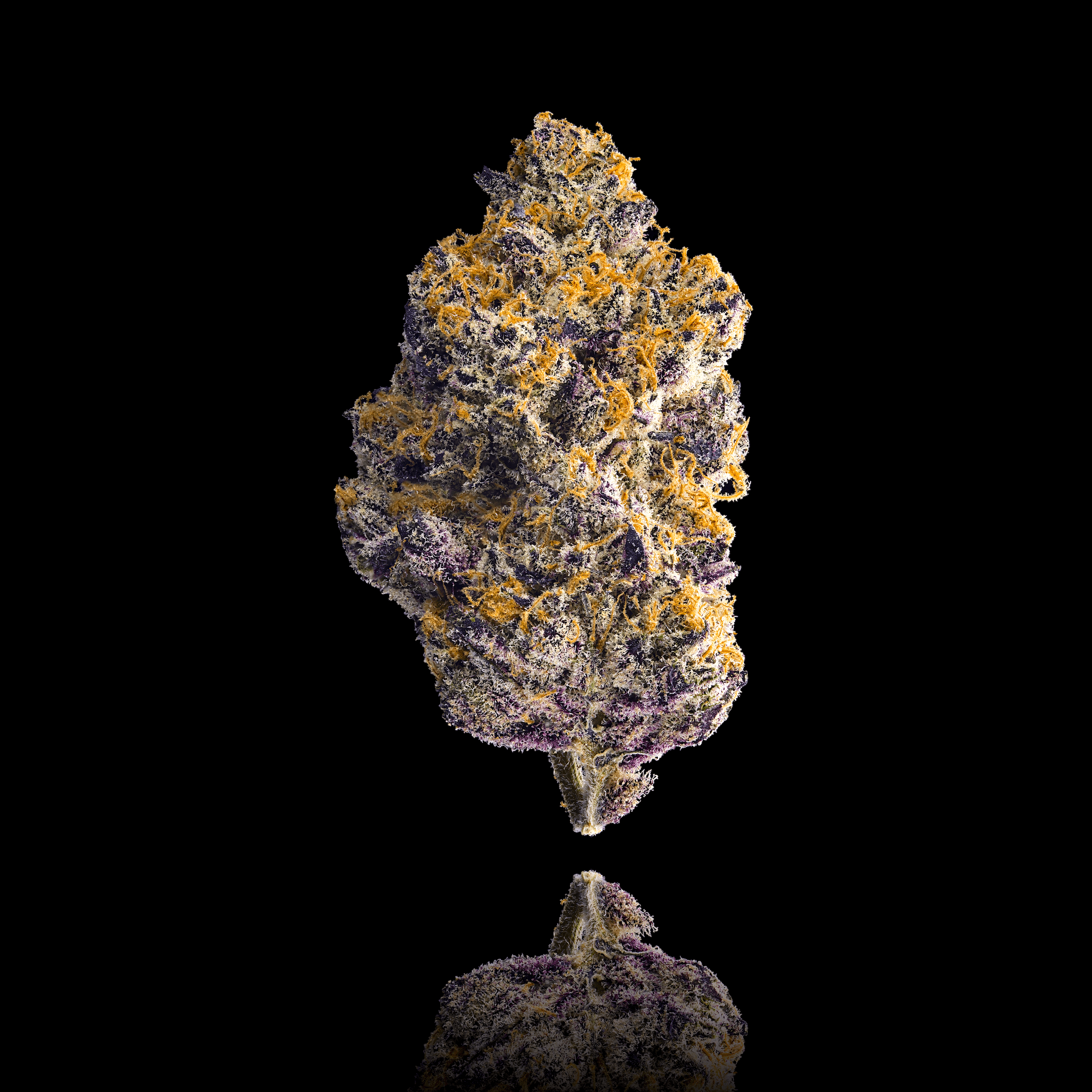 Blue Agapē [3.5g]