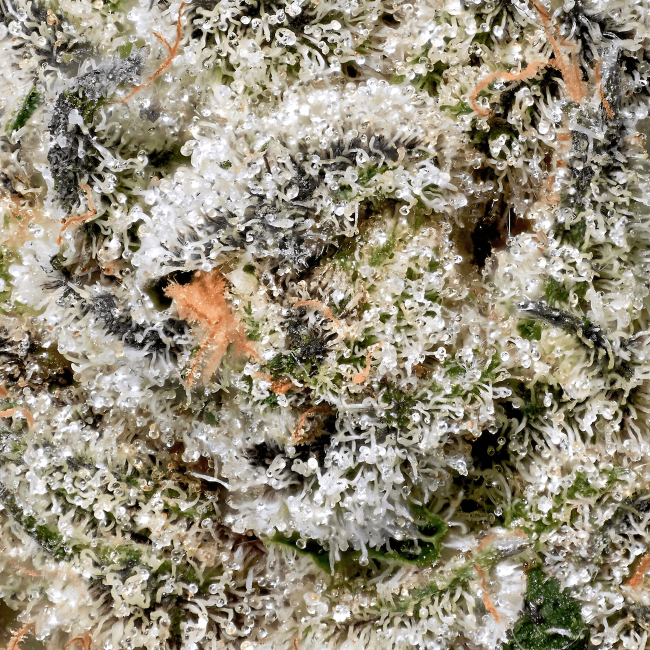 Black Diamond X [3.5g]