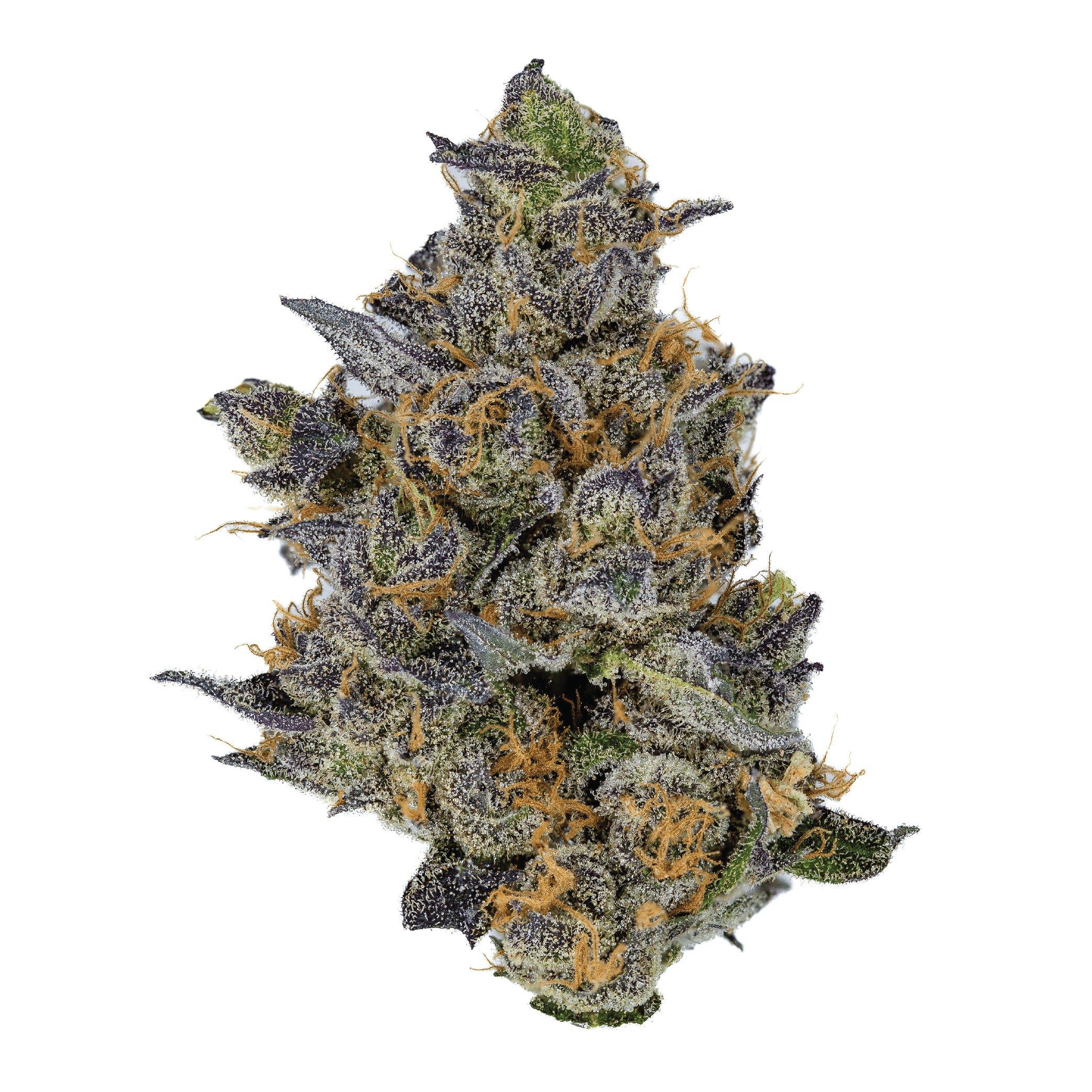 Lemon Cherry Gelato