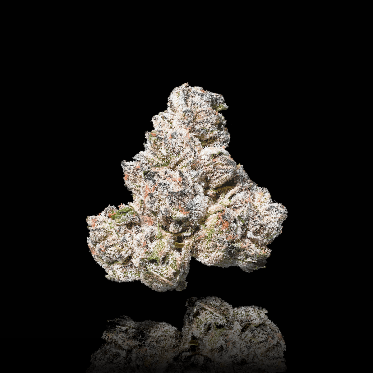 Black Diamond X Pre-Roll 5-Pack [2.5g]