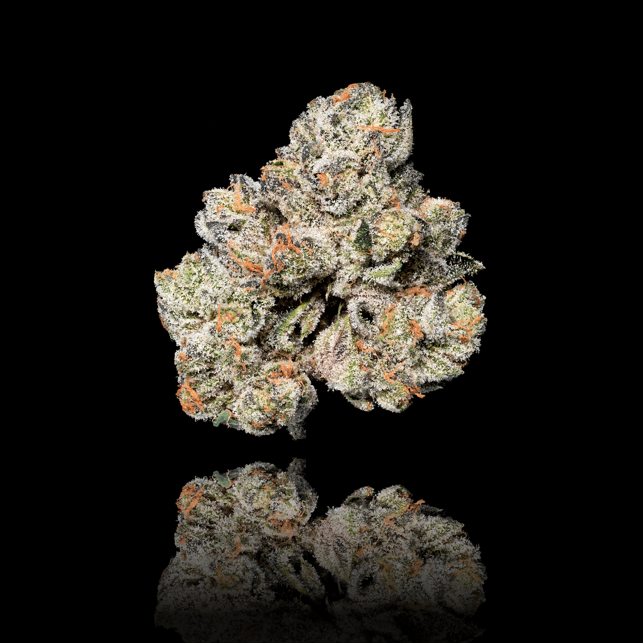 Black Diamond X [3.5g]