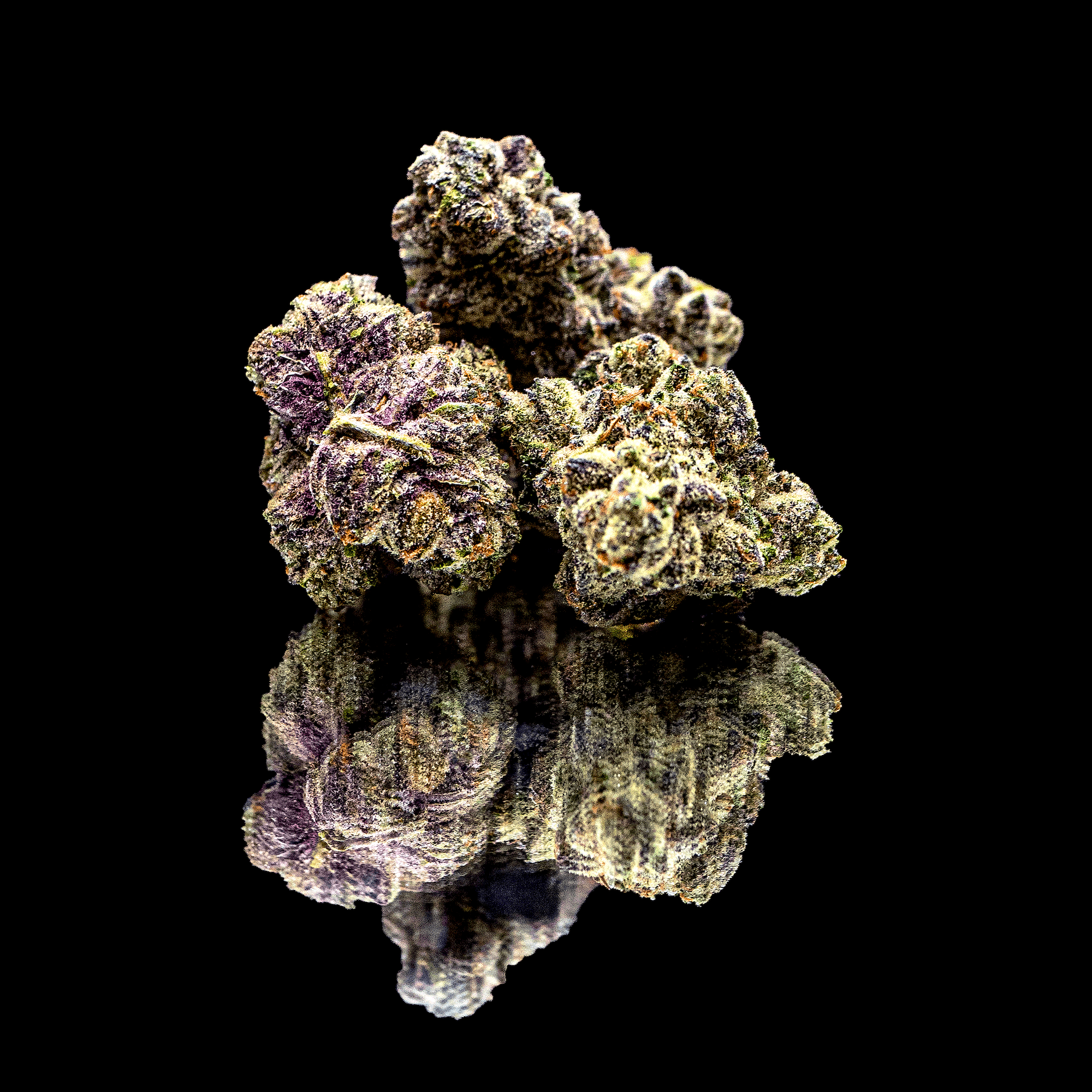 Black Diamond X Pre-Roll 5-Pack [2.5g]