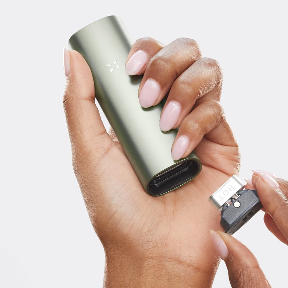 Pax 3 Complete Kit - Sage