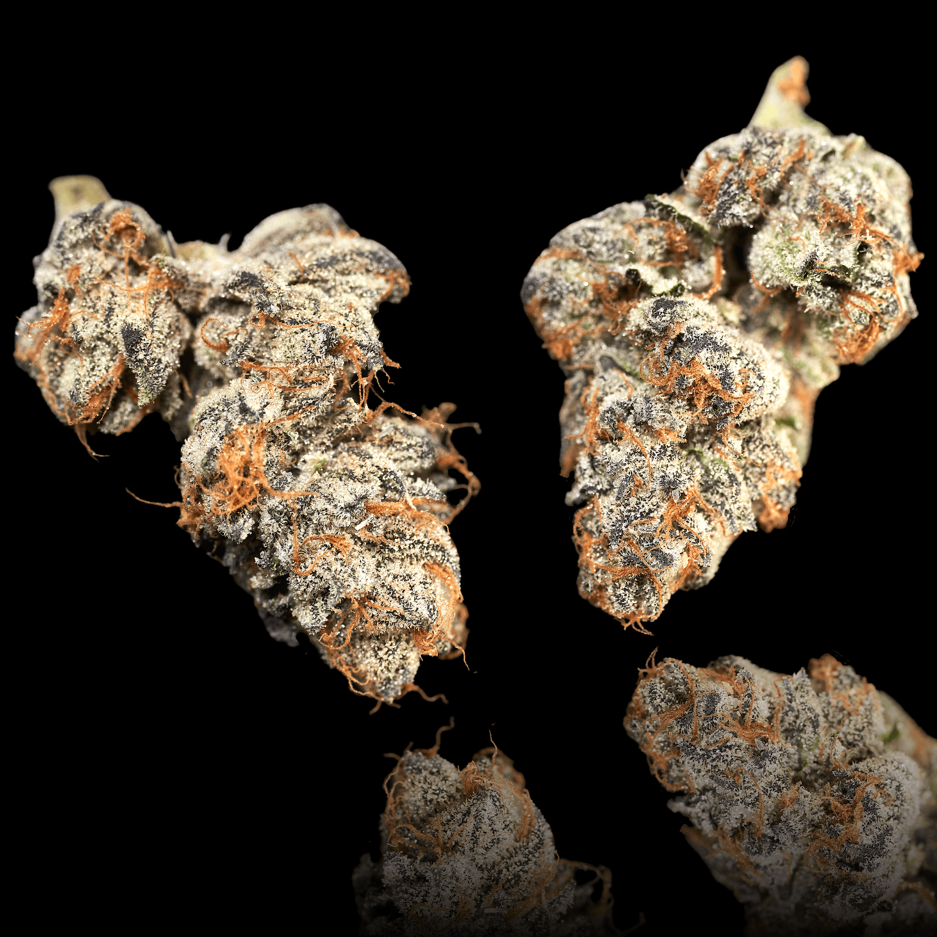 Cherry Gas Pre-Roll [1g]