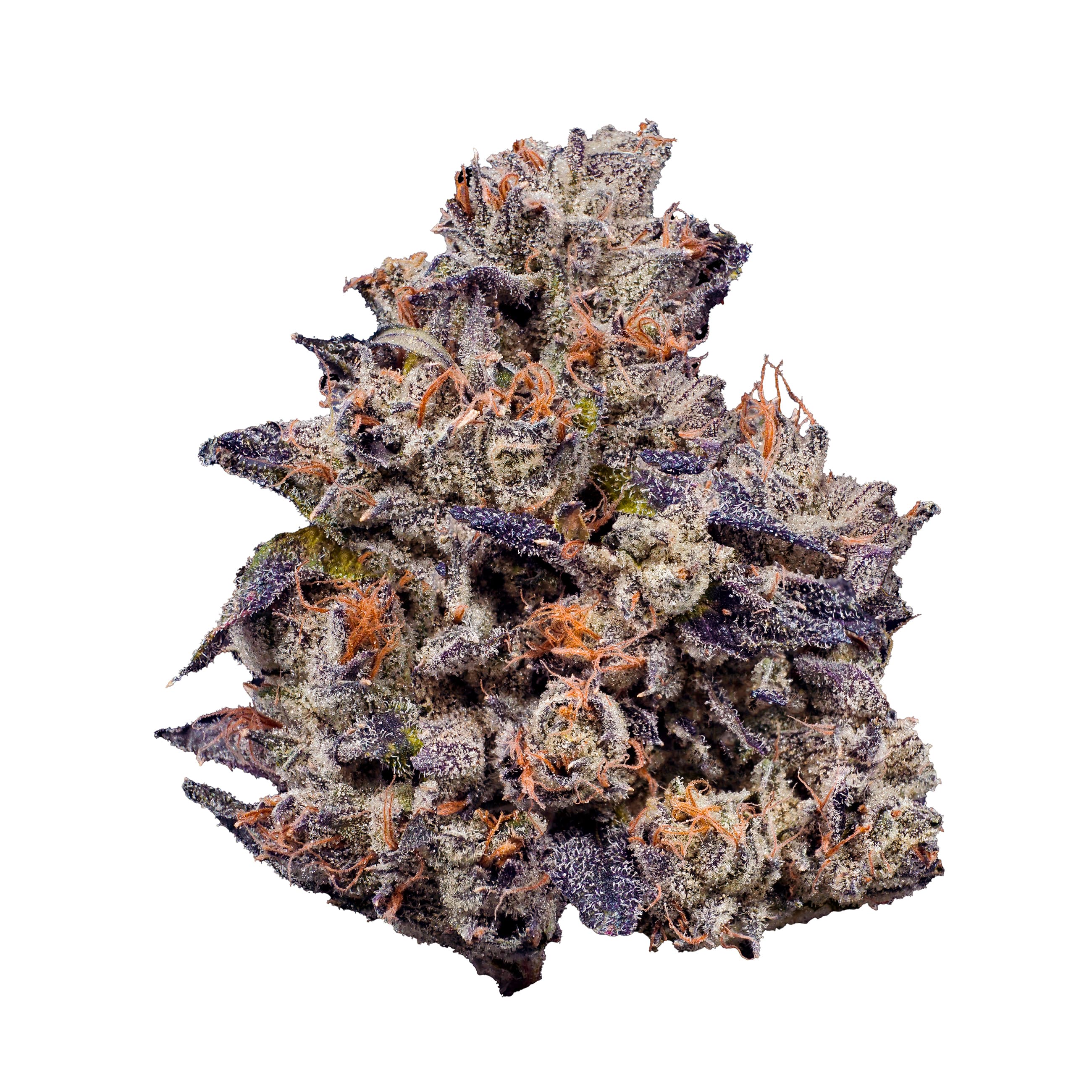 Lemon Cherry Gelato