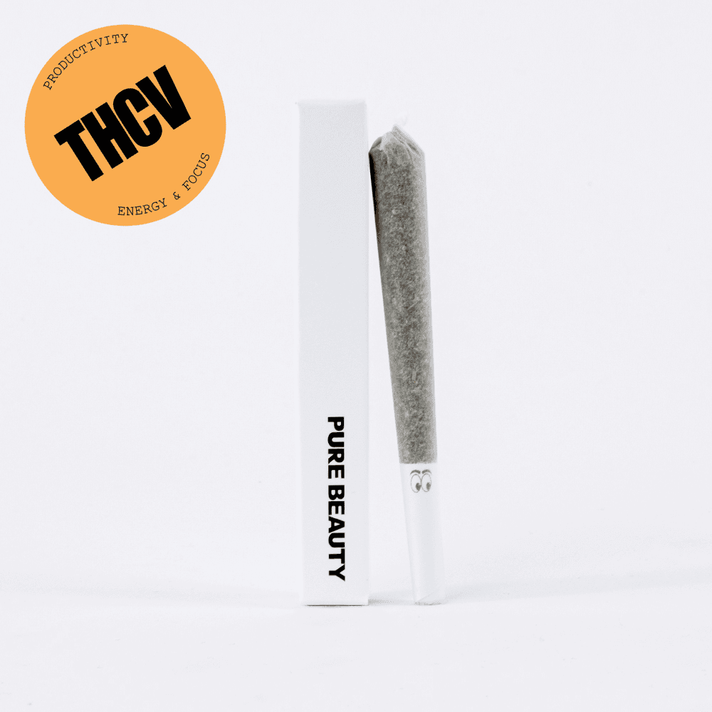 GSD (2:1) THCV