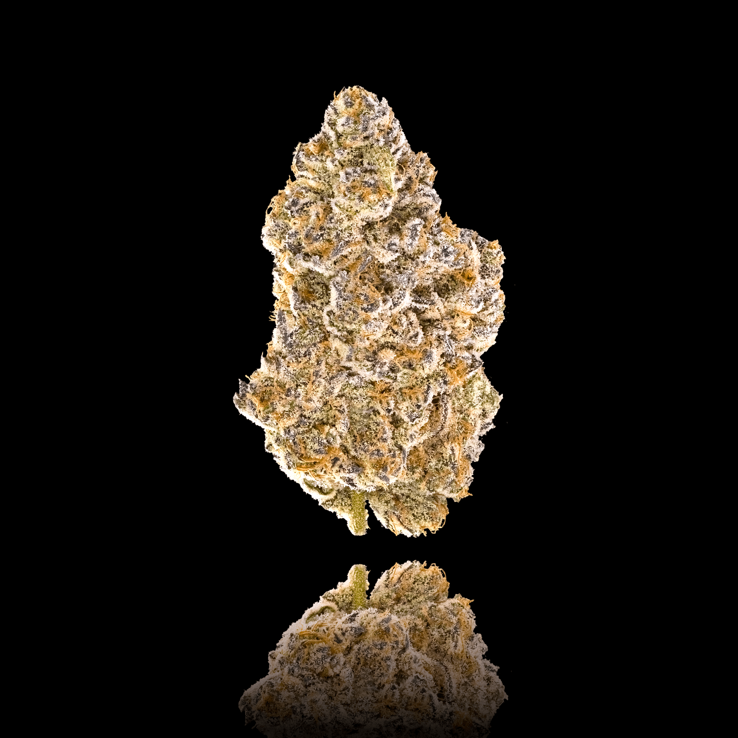 Kiwi Sorbet Pre-Roll 5-Pack [2.5g]