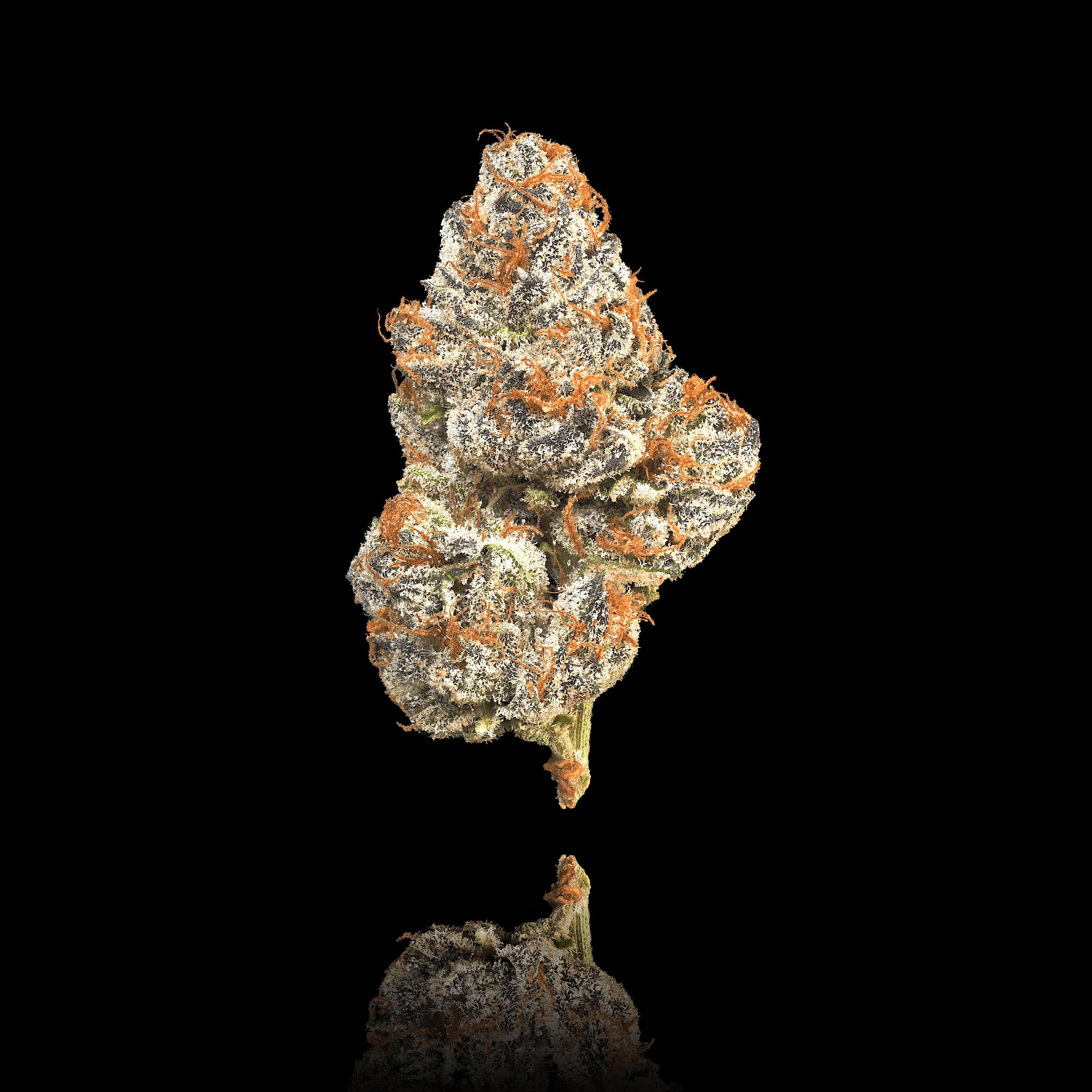 Cherry Gas [3.5g]