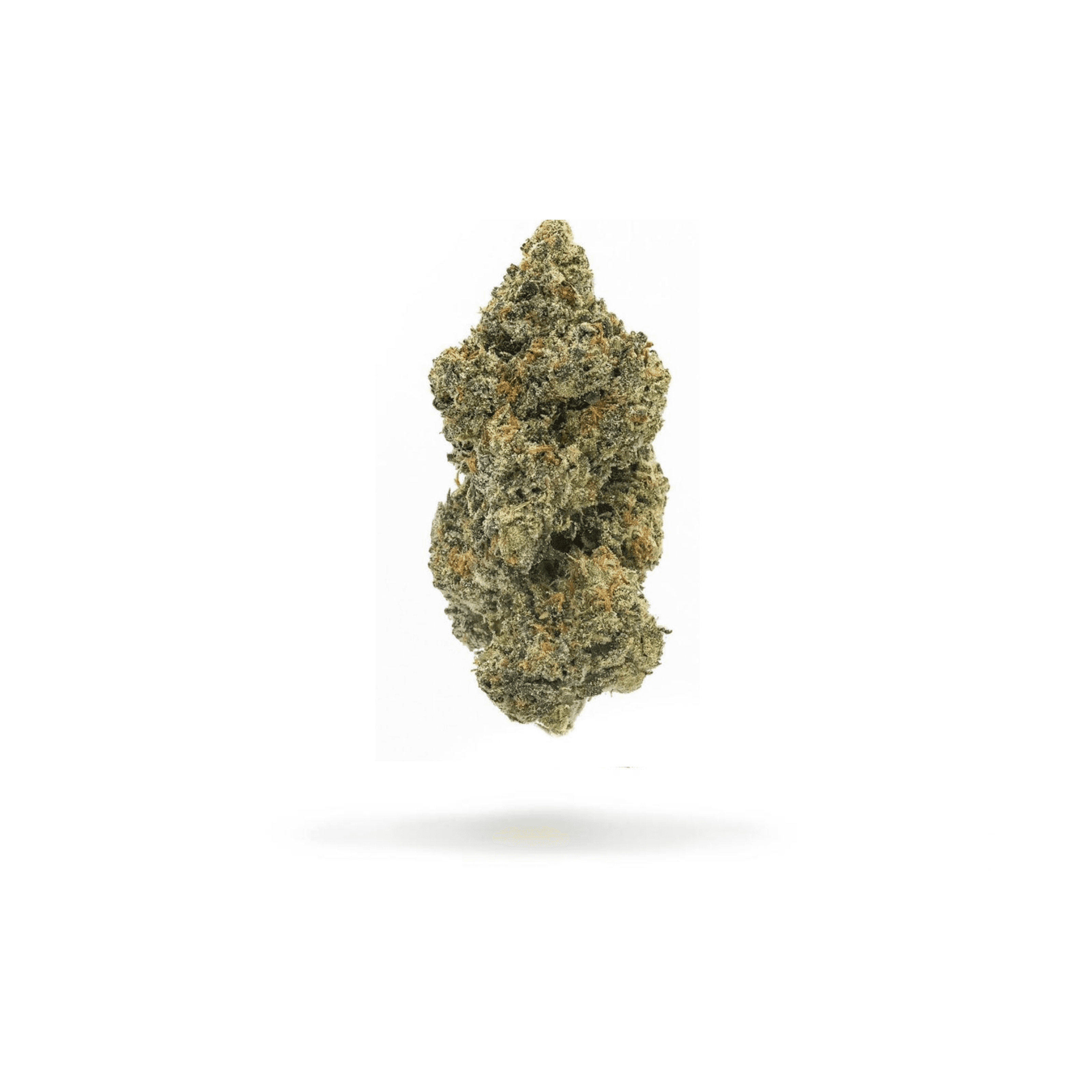VANILLA BISCOTTII - PR