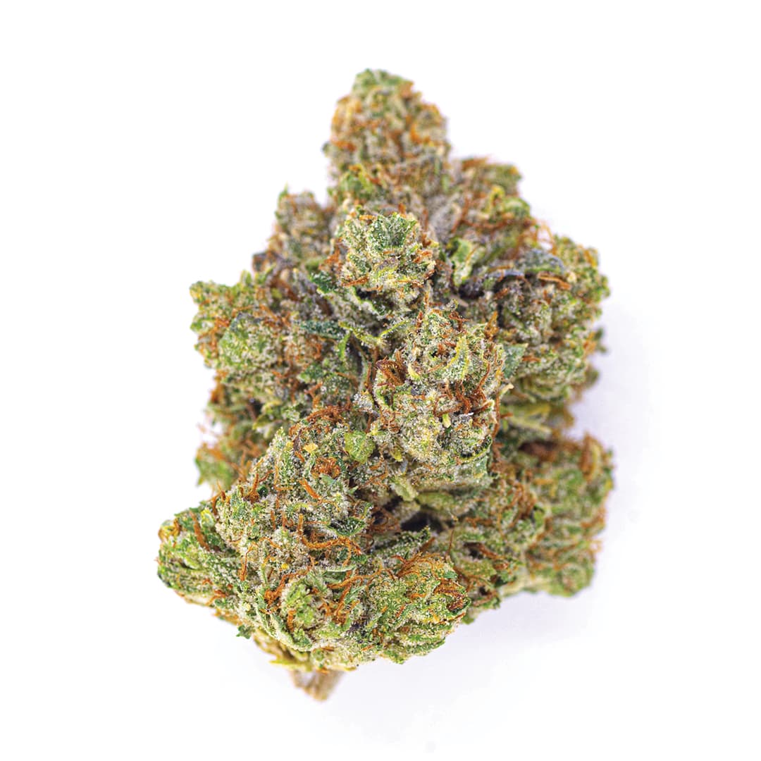 SFV OG