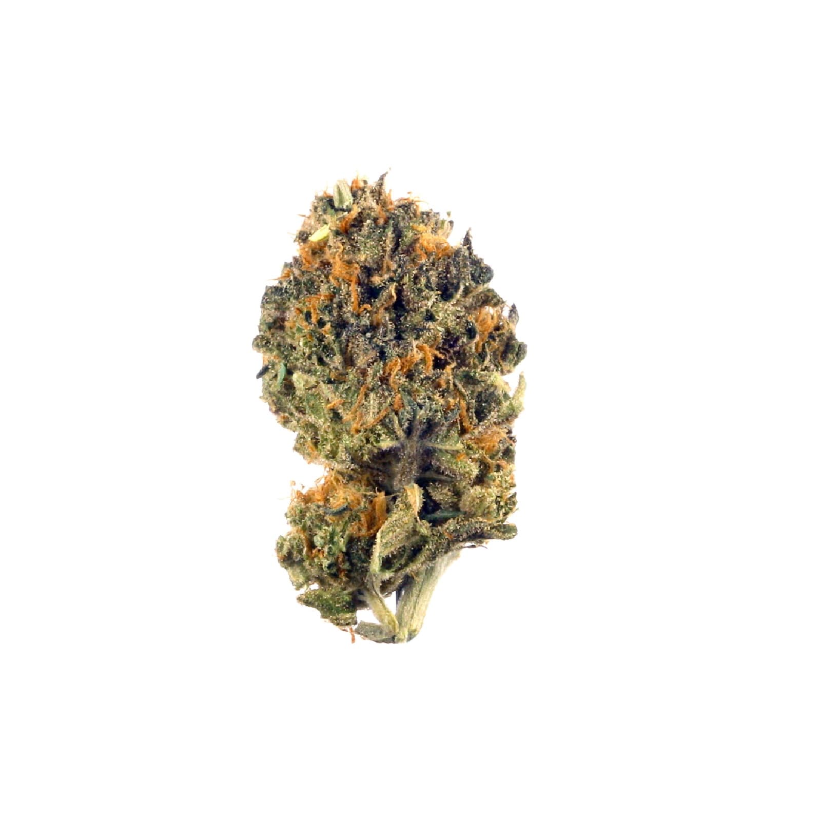 Blackberry Diesel