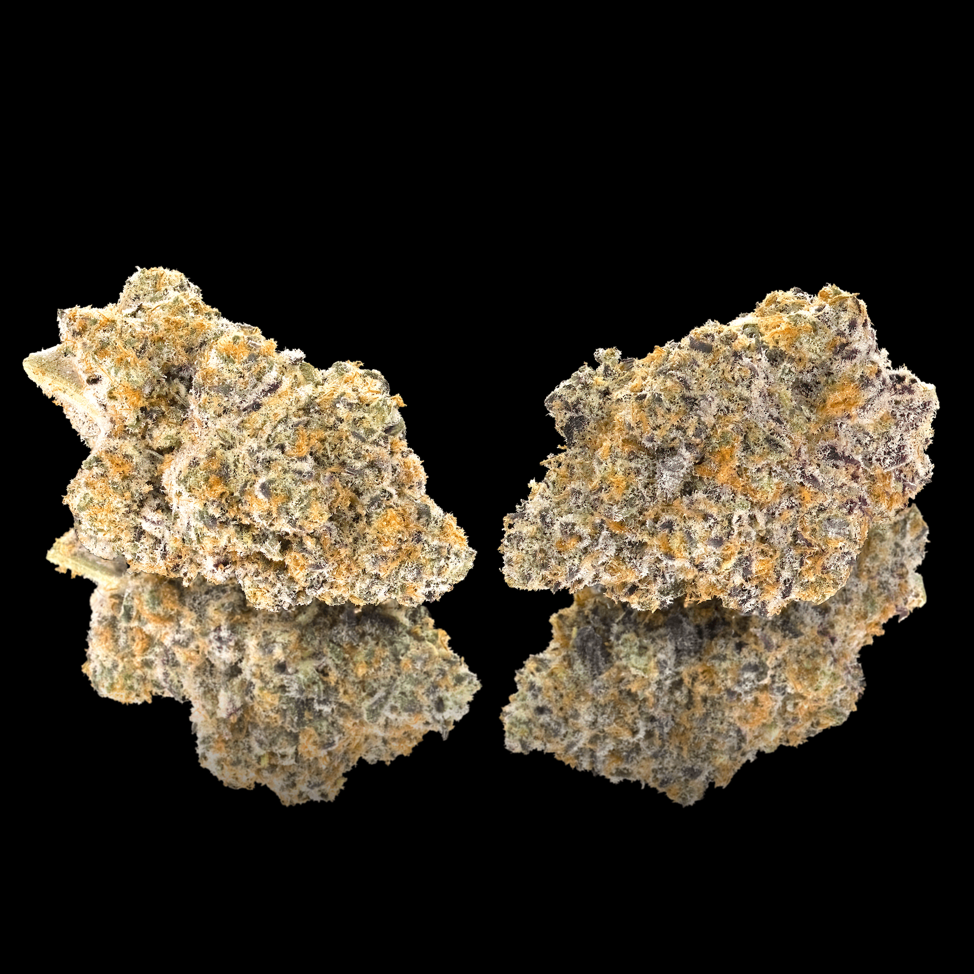 Golden Applez Pre-Roll 5-Pack [2.5g]