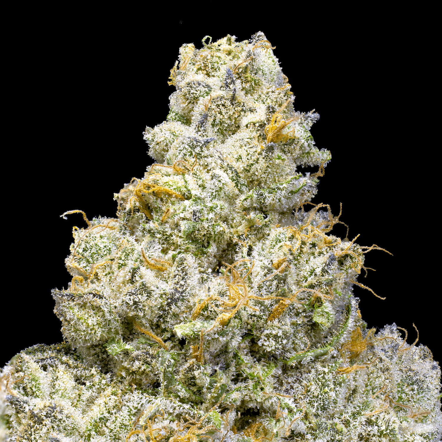 Calavera Candy