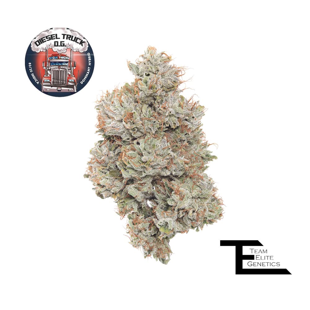 Diesel Truck OG