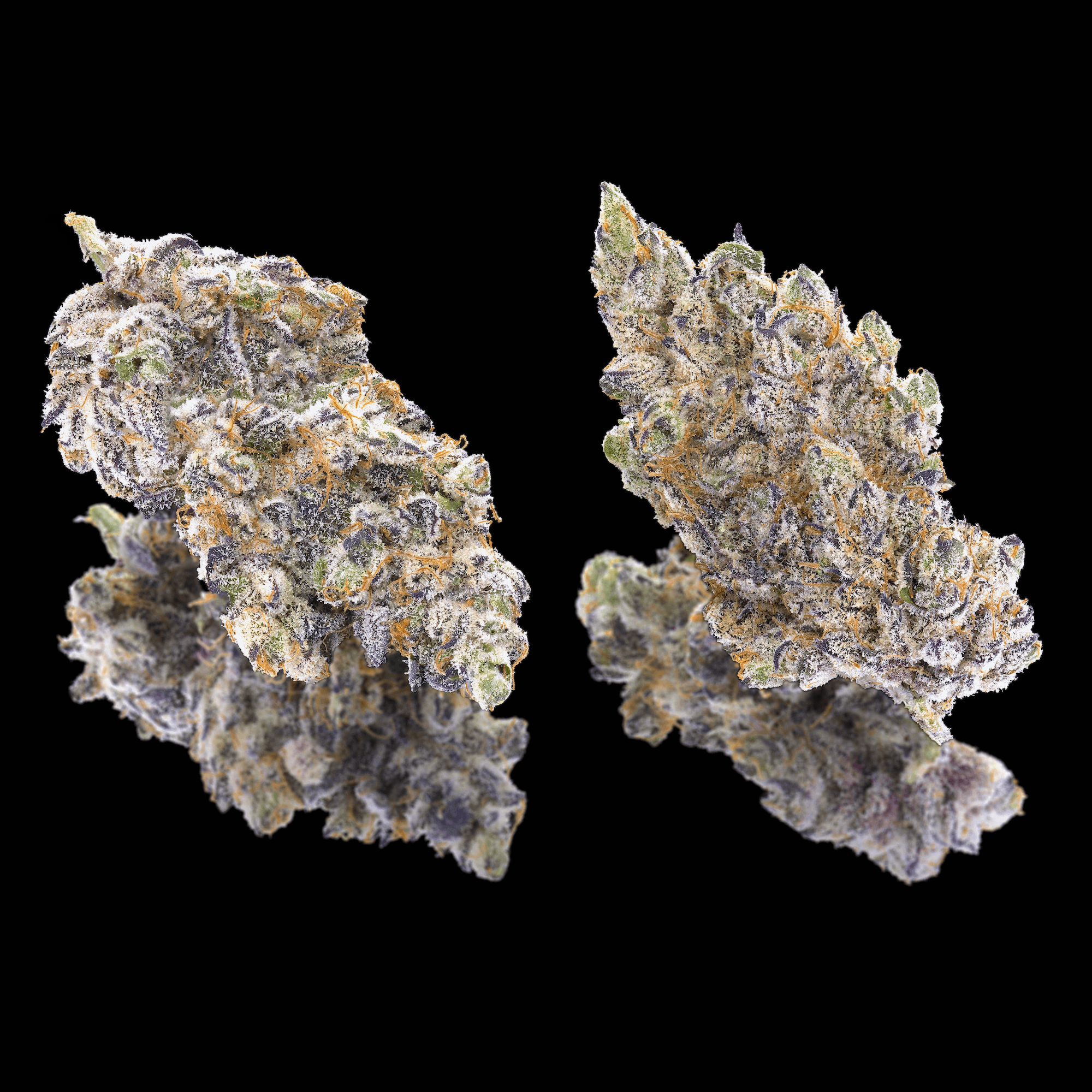 FKAFL Pre-Roll 5-Pack [2.5g]