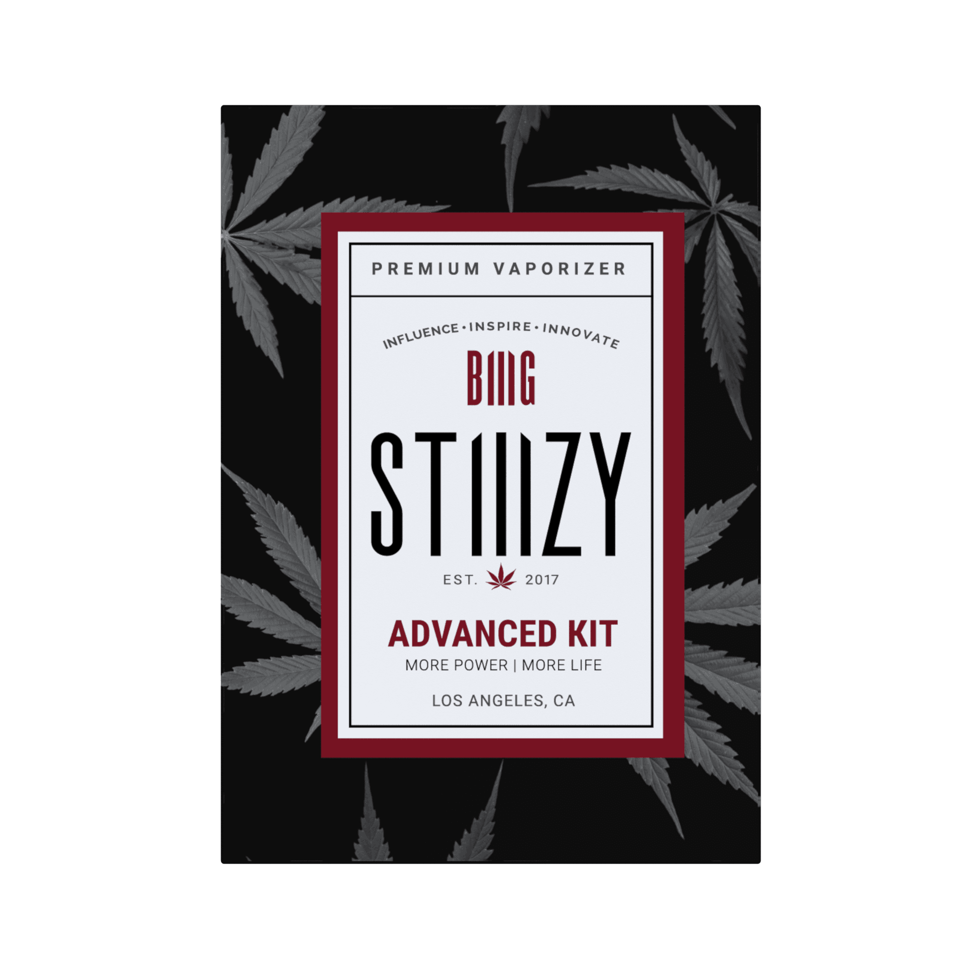 BIIIG STARTER KIT