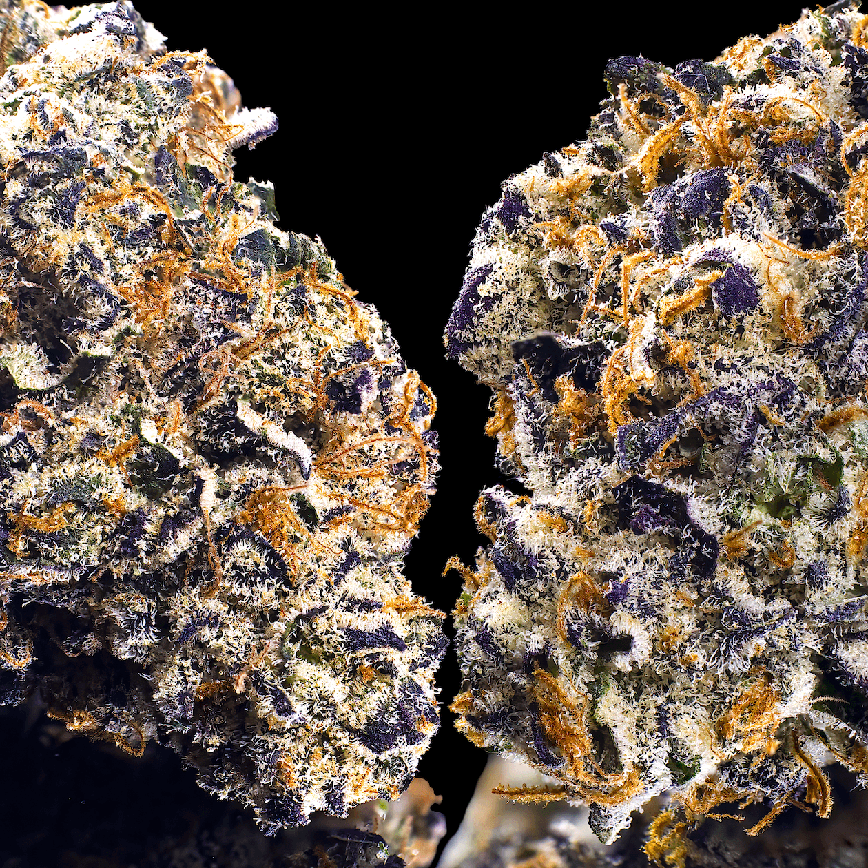 Clementine Sour [3.5g]