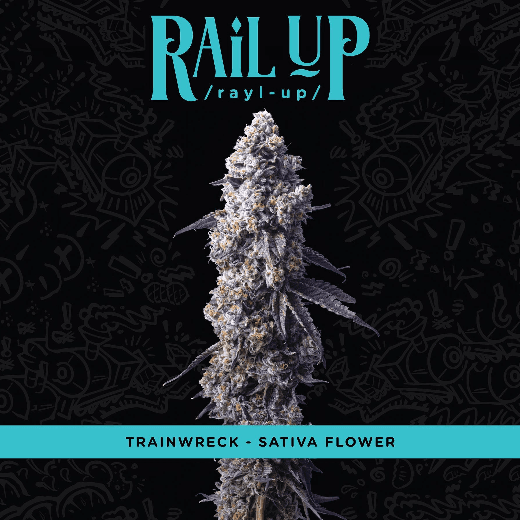 Rail Up