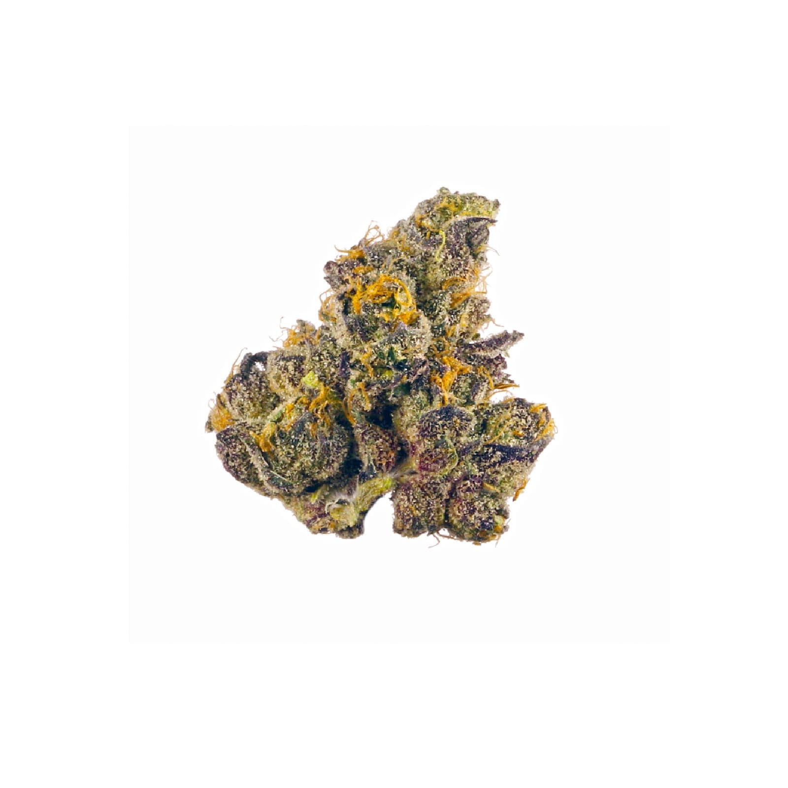 Blackberry Fire